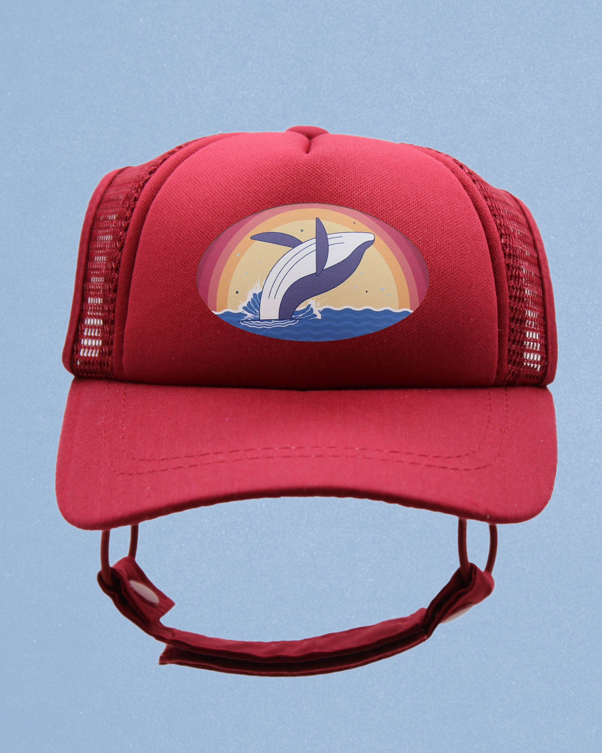 whale