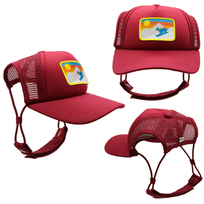 PupLid Winter Designs | Size XXS Dog Hat