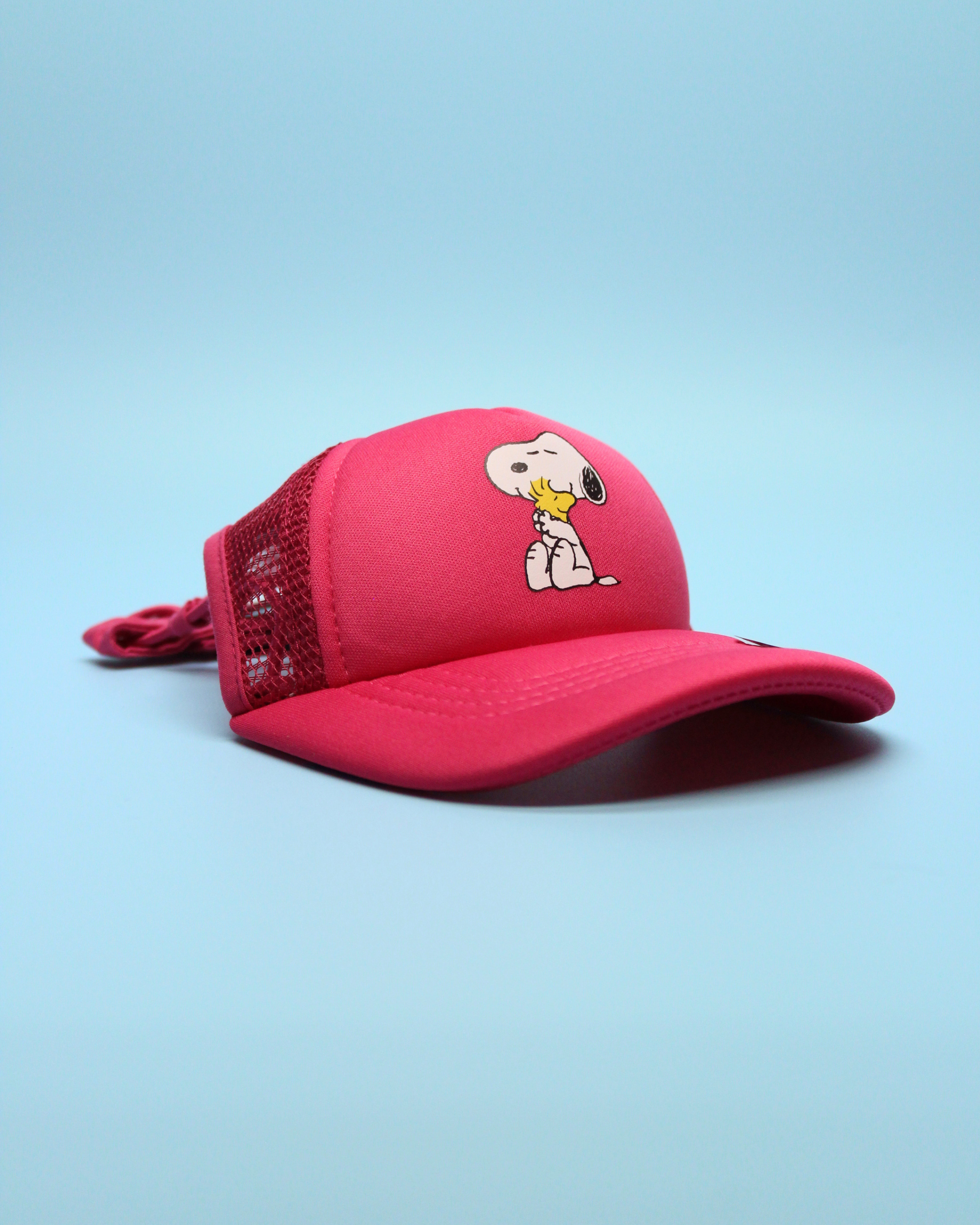 snoopy & woodstock hug