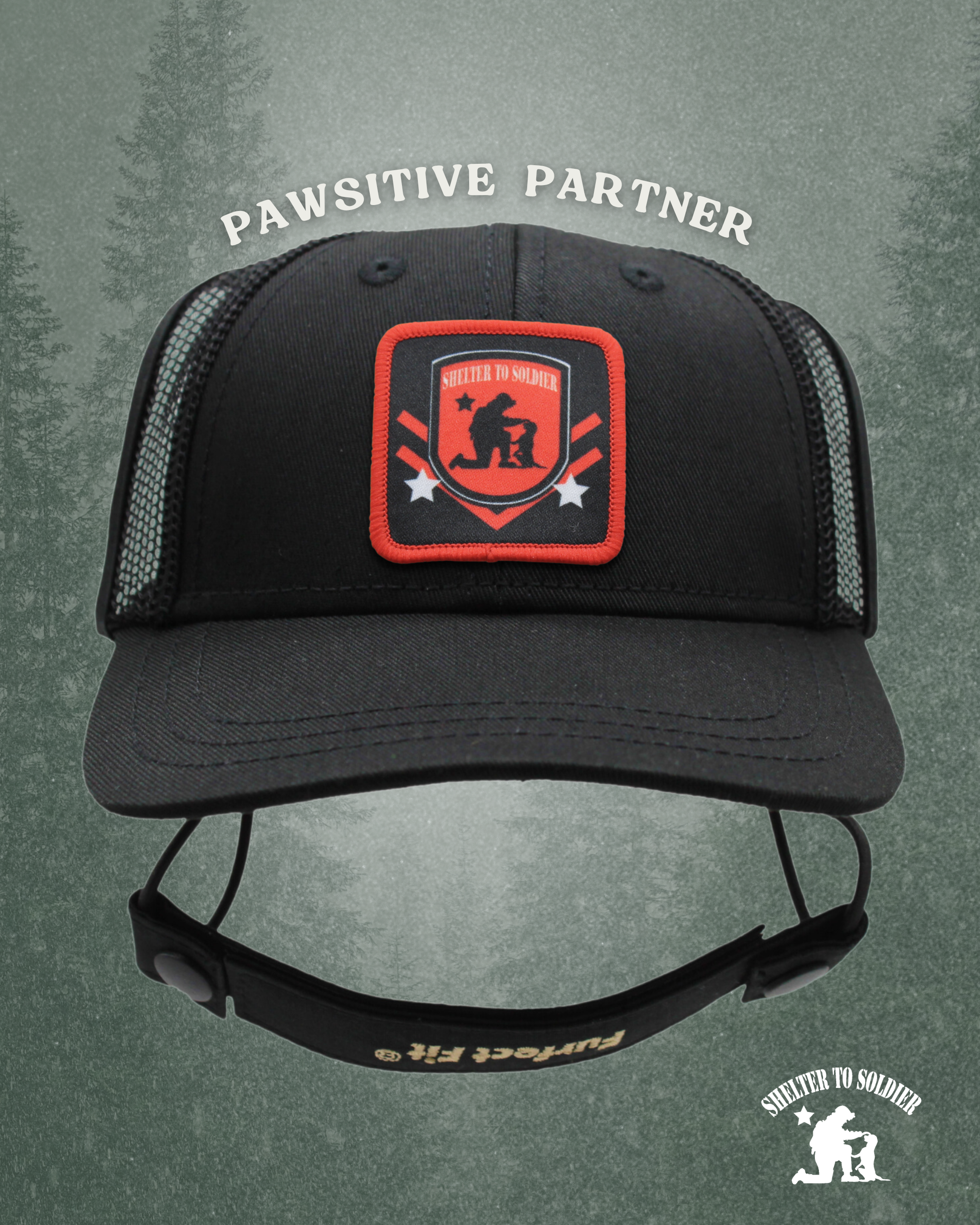 shelter to soldier baseball hat | pawsitive partner