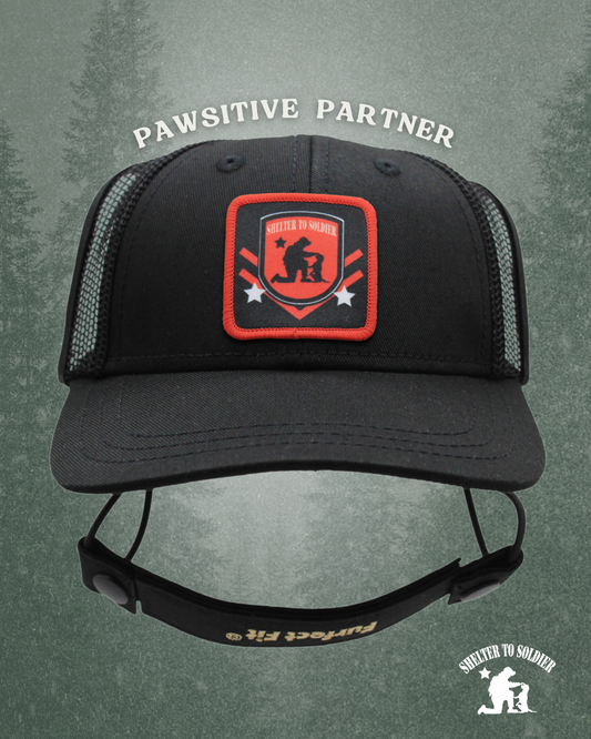 shelter to solider baseball hat | pawsitive partner