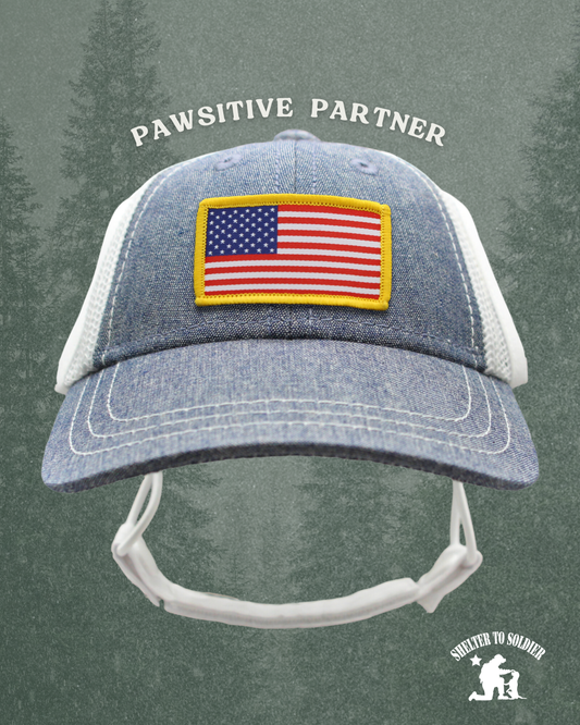 USA flag patch baseball hat | pawsitive partner