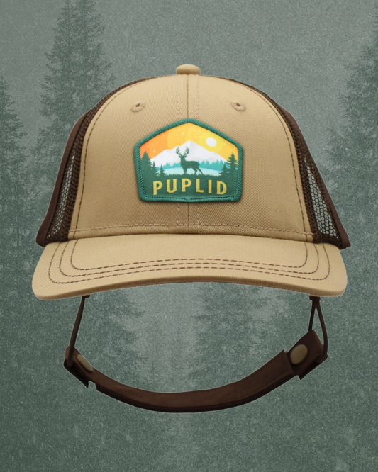 elk patch baseball hat