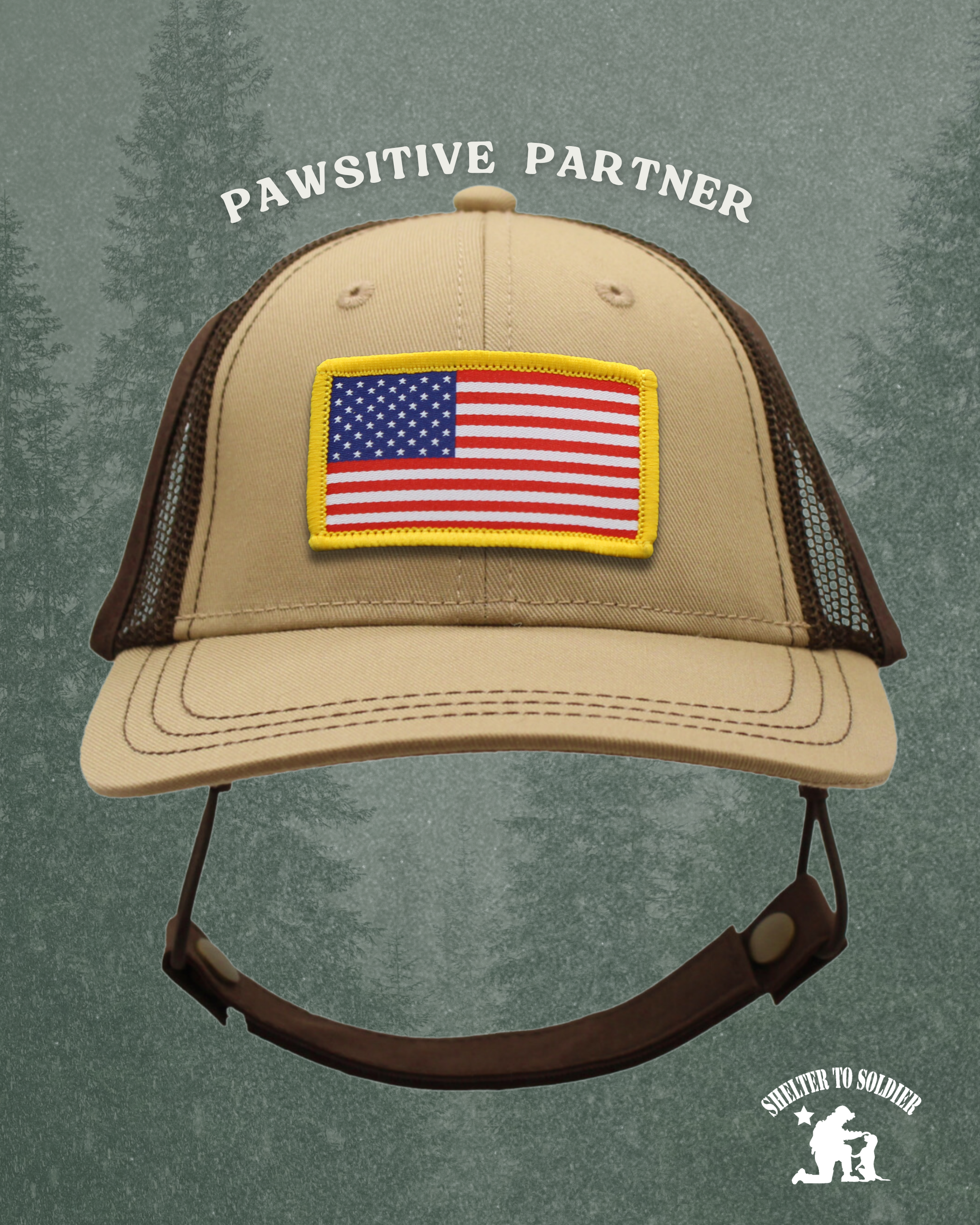 USA flag patch baseball hat | pawsitive partner