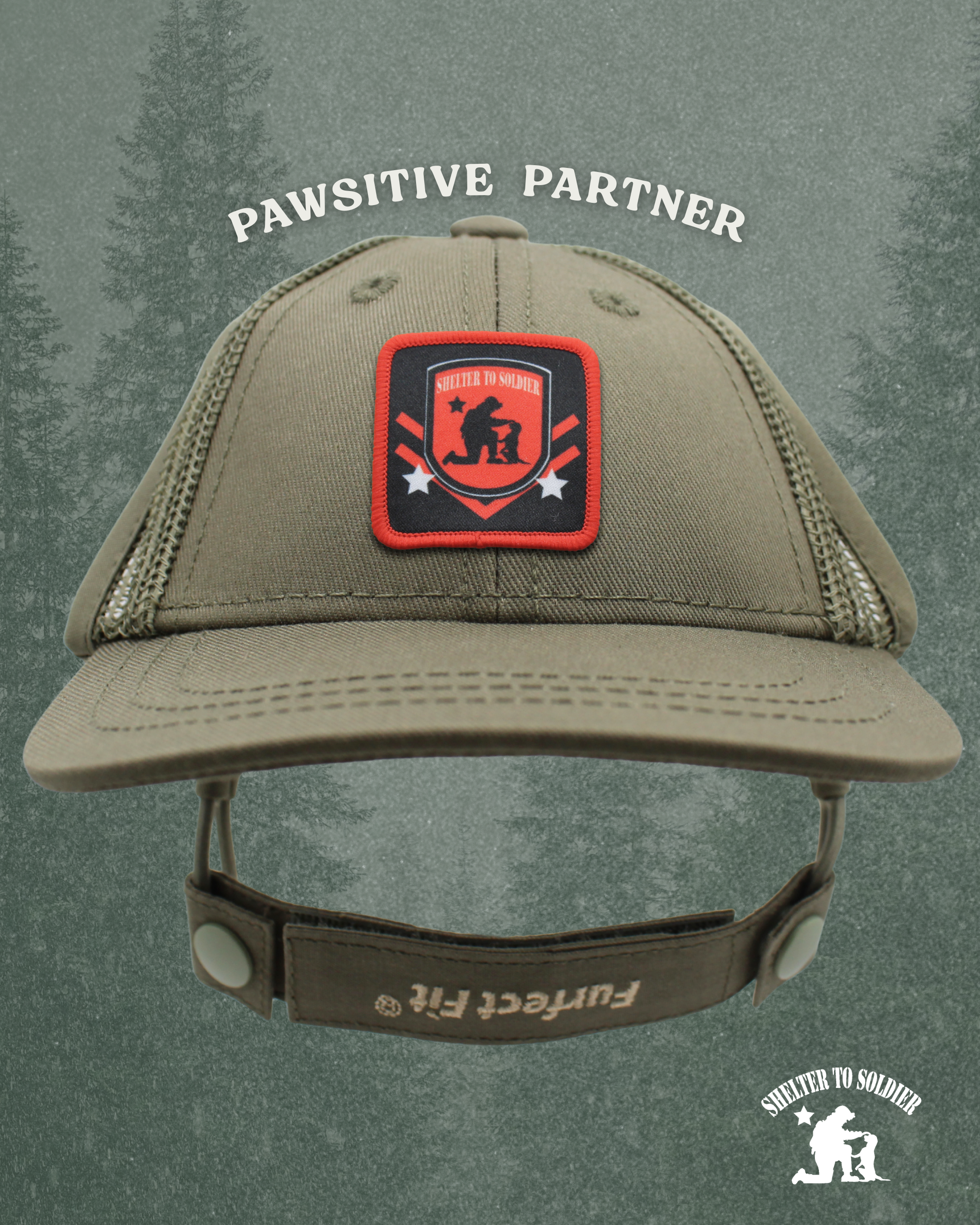 shelter to soldier baseball hat | pawsitive partner