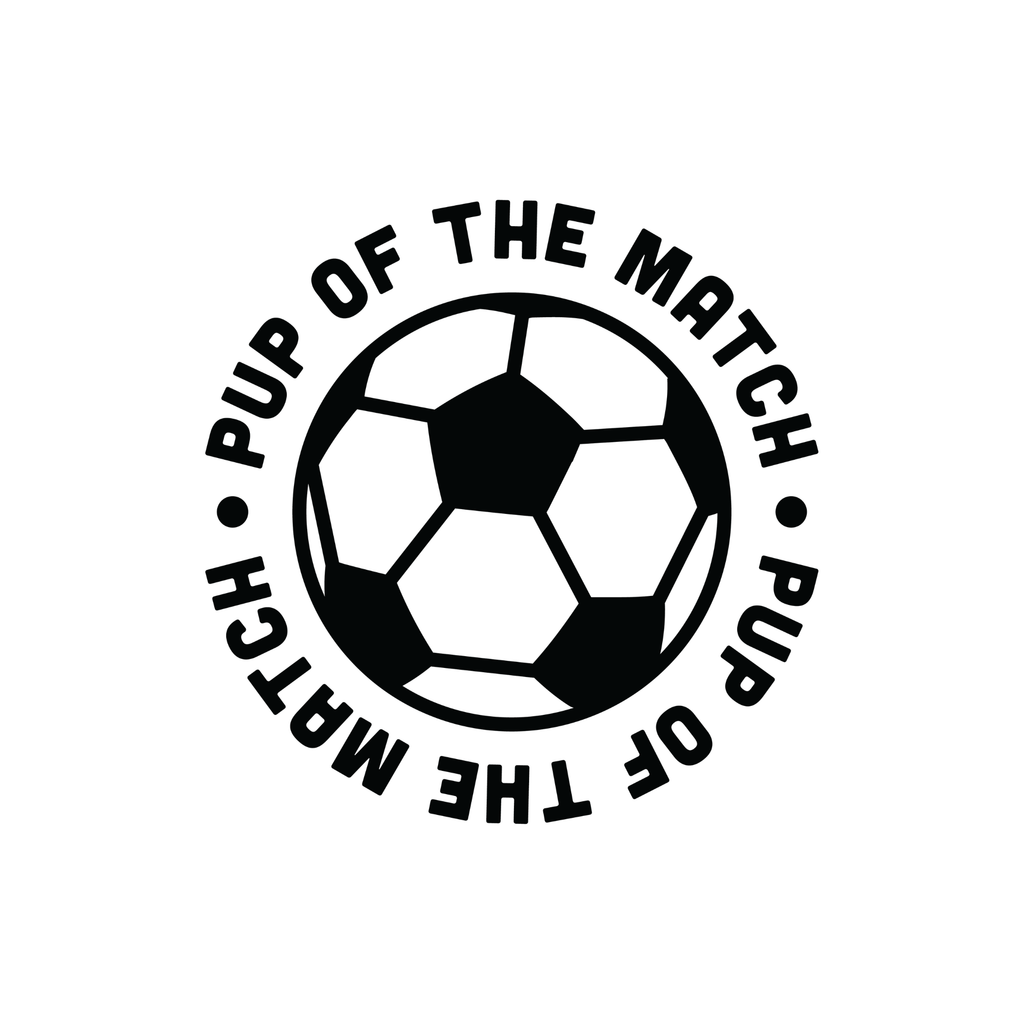 sports collection
