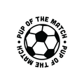 Soccer Ball