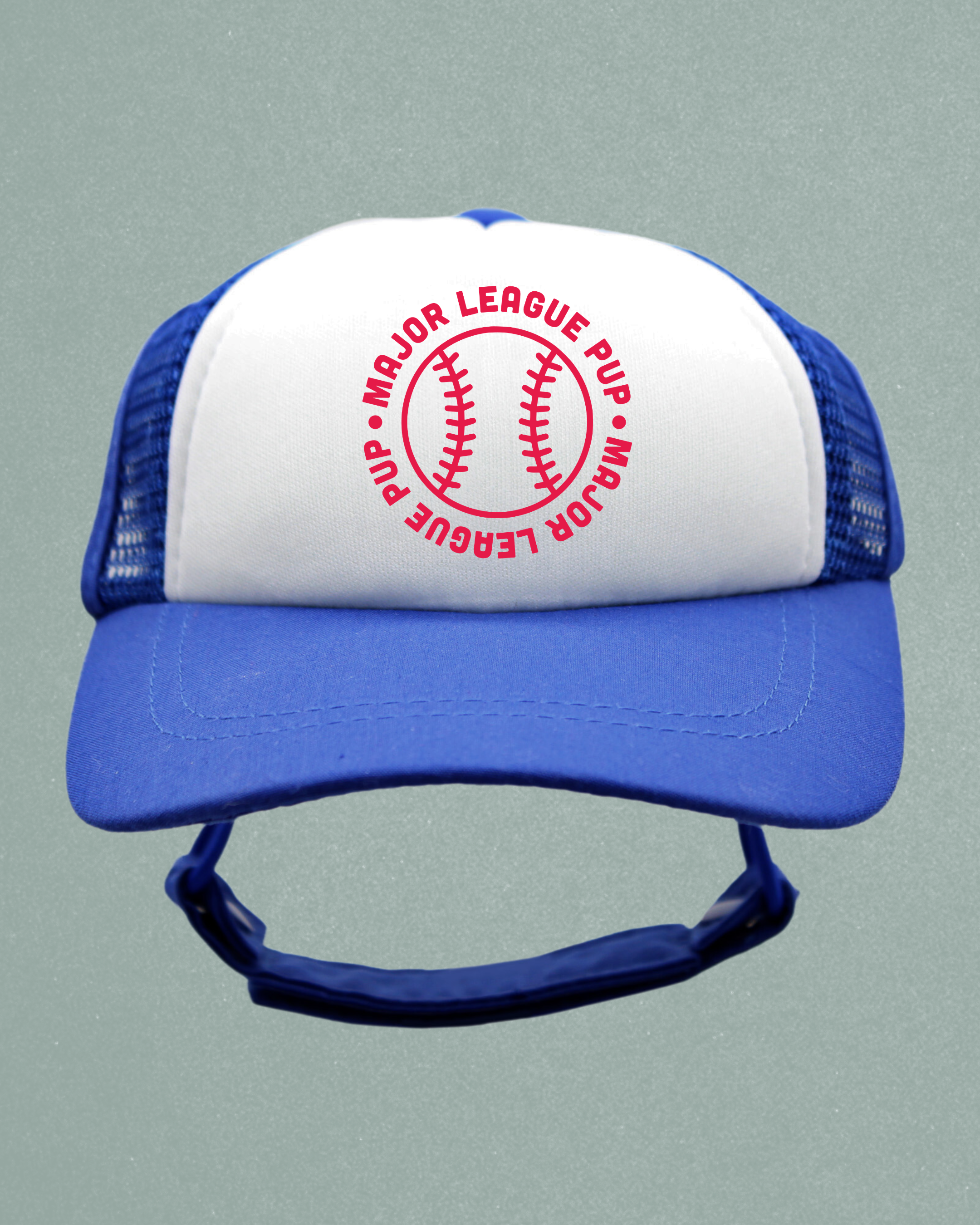 sports collection