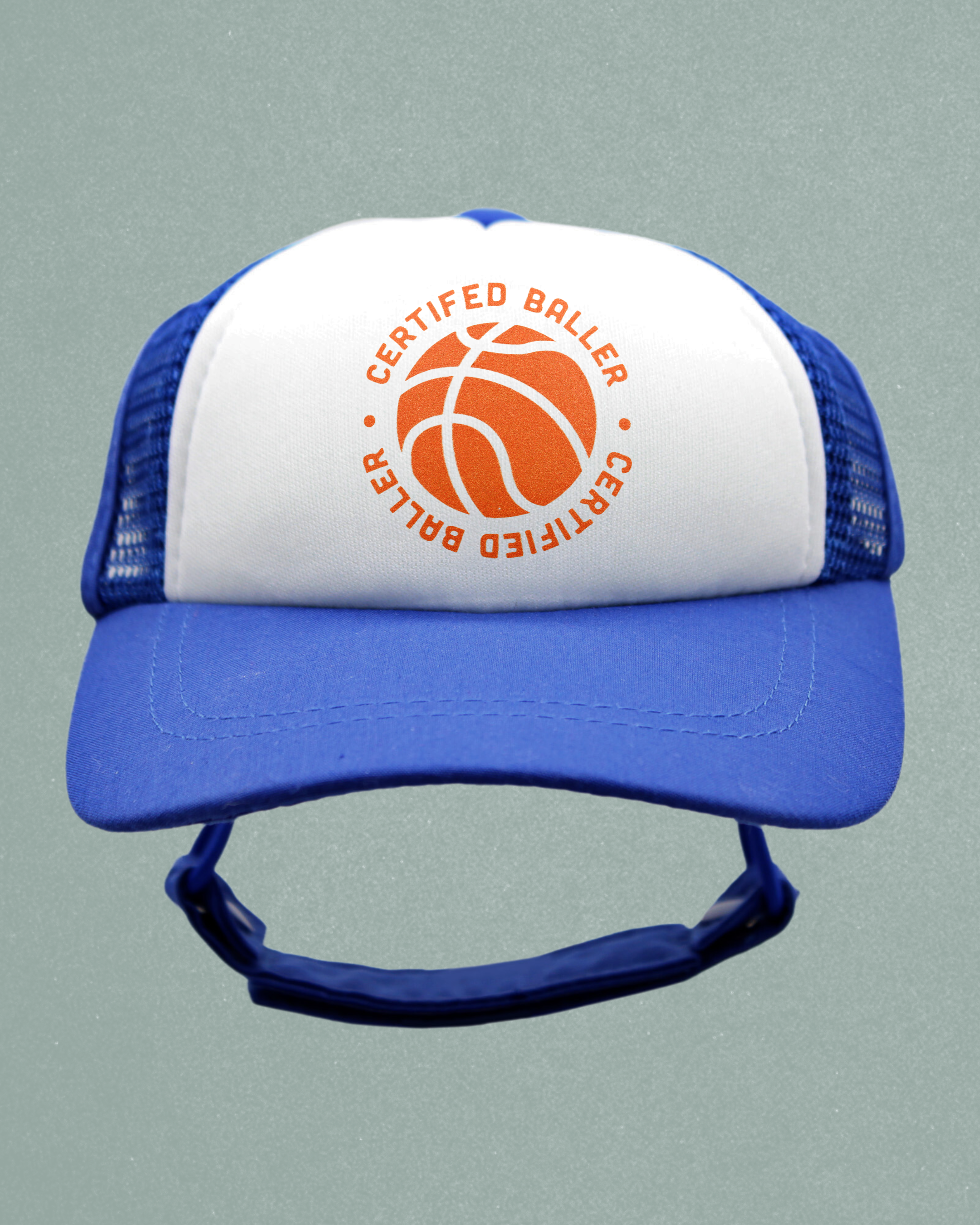 sports collection