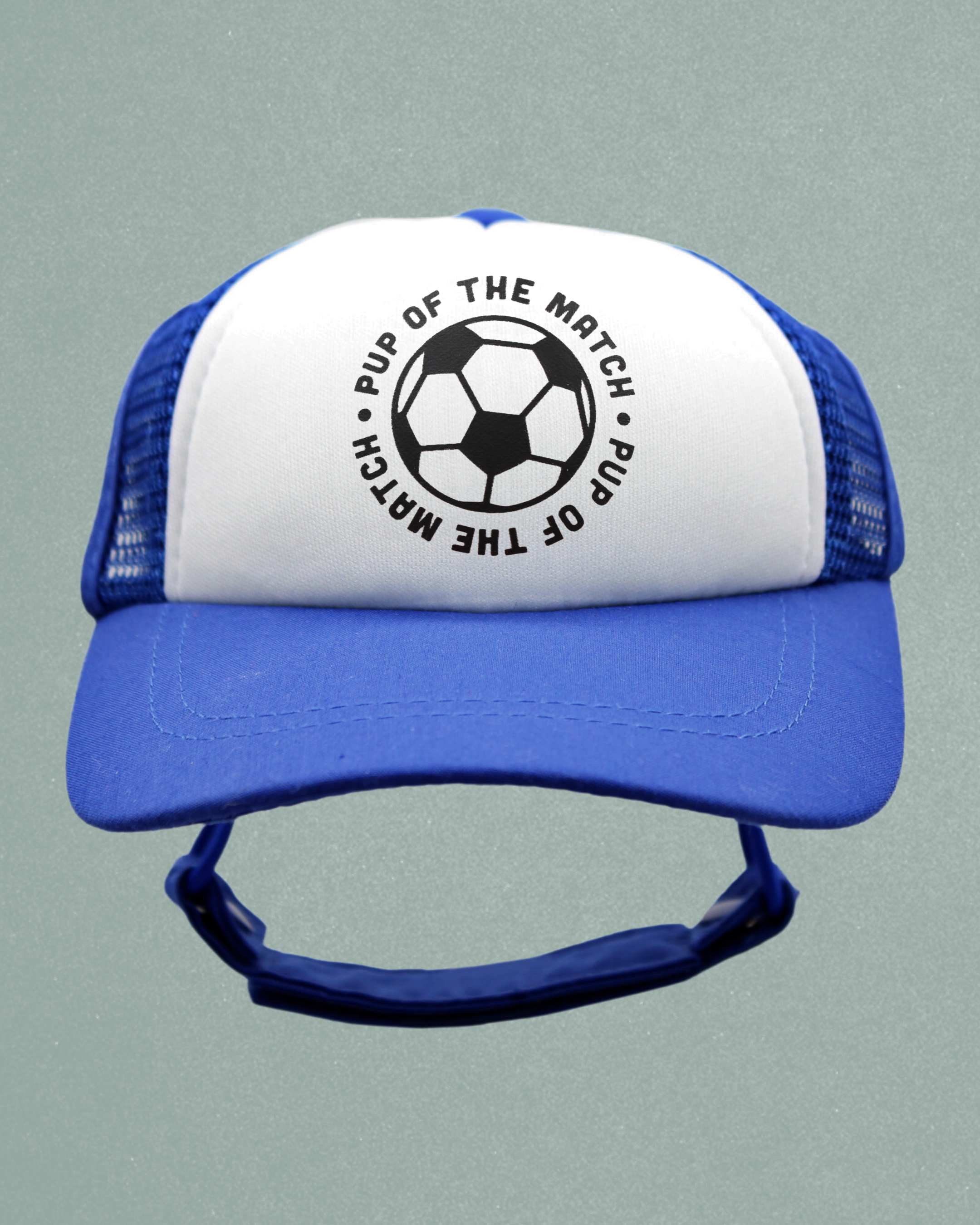 sports collection