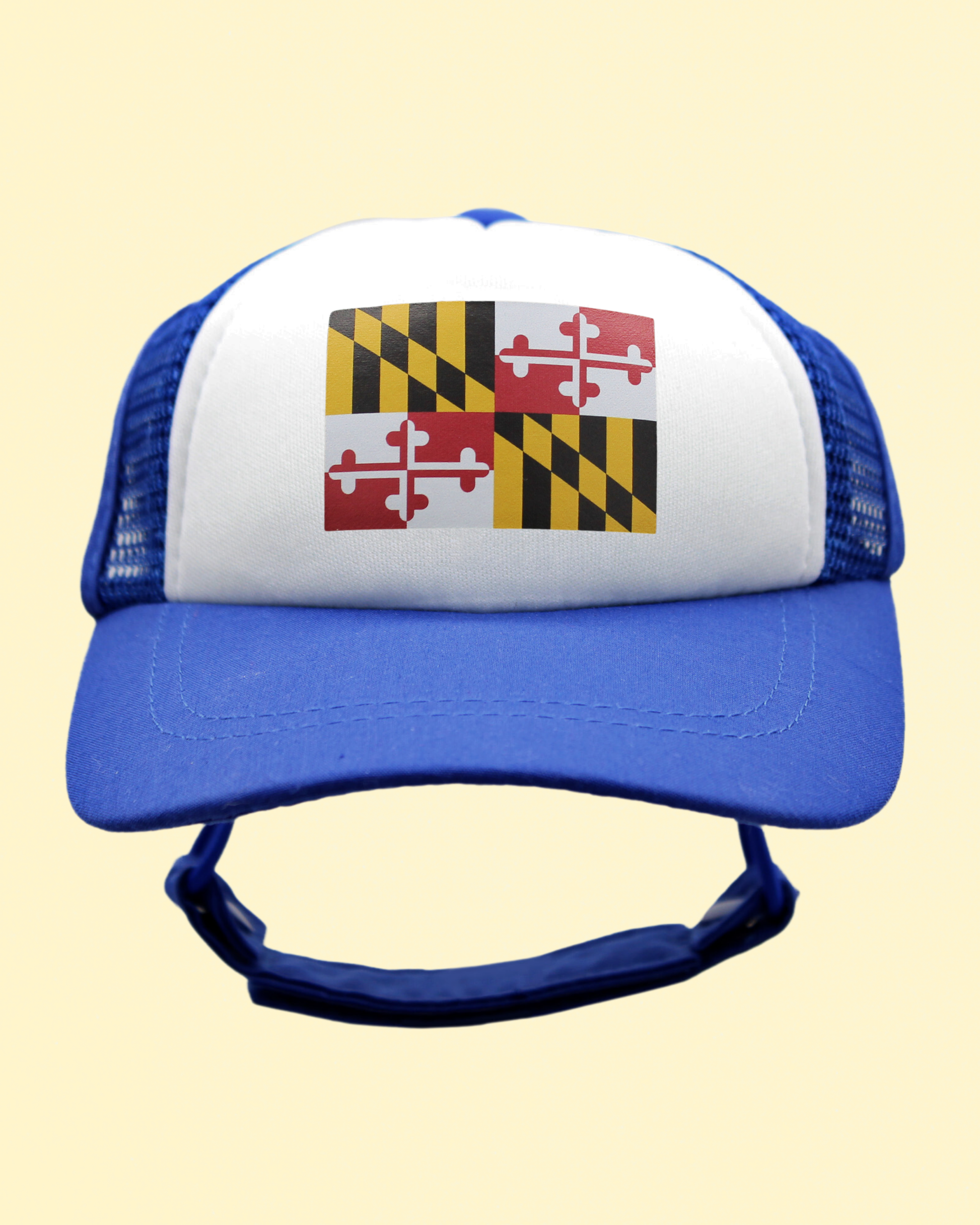 maryland flag