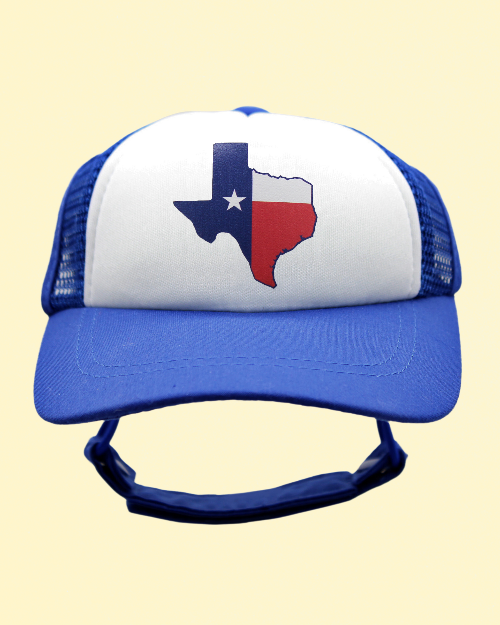 texas flag