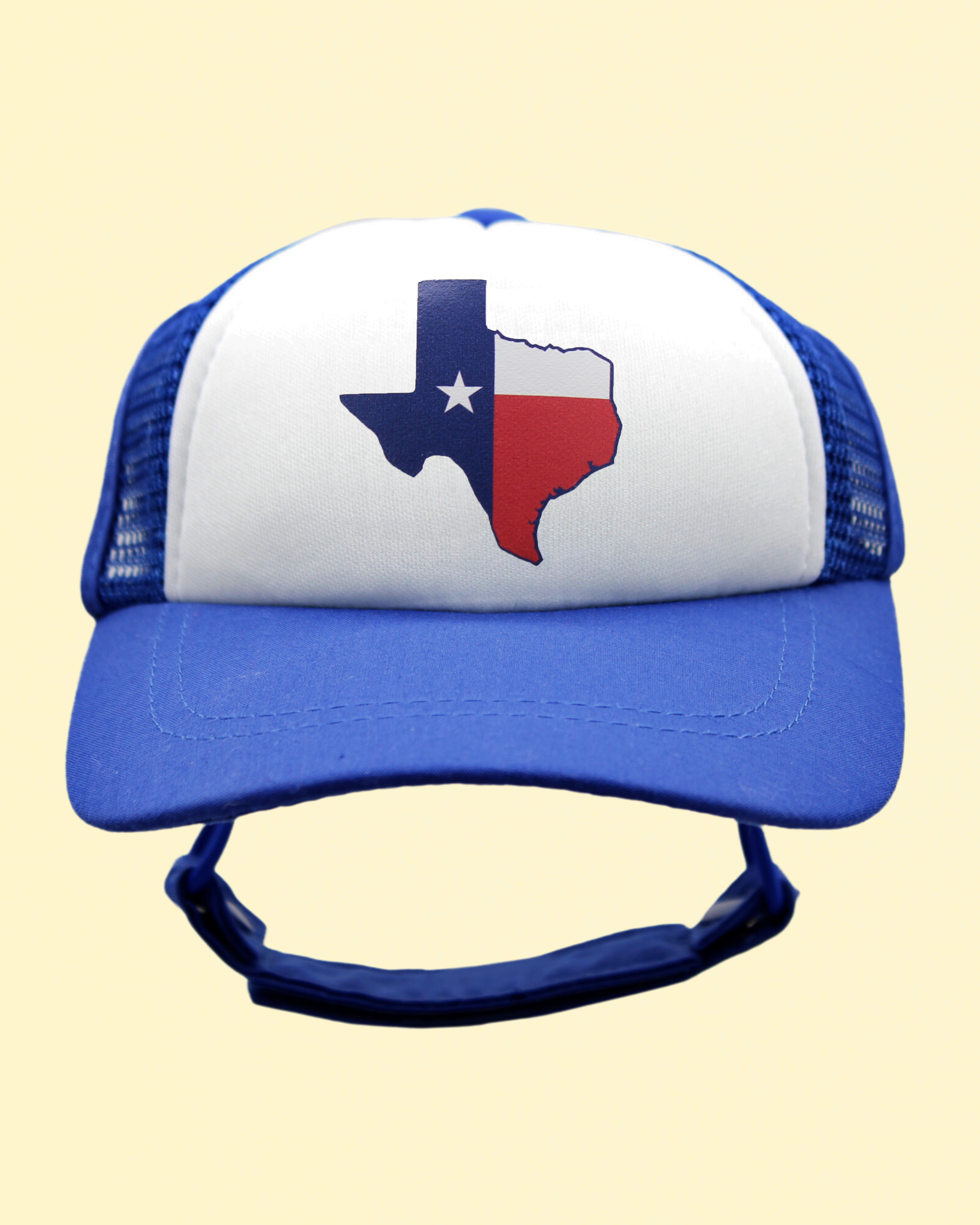 texas flag