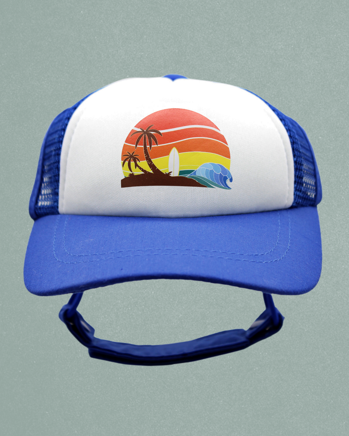island sunset cat hat