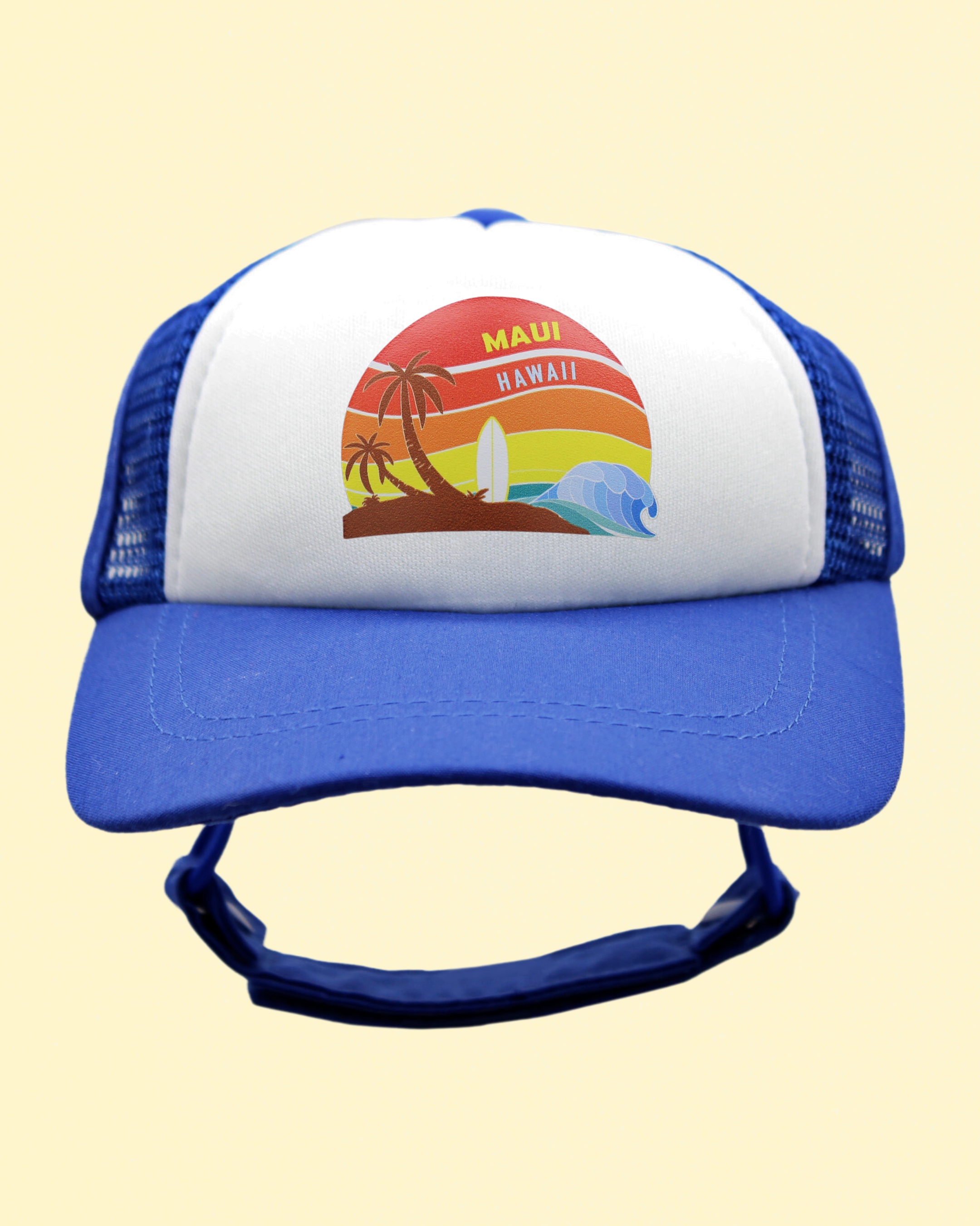 maui island sunset | pawsitive partner