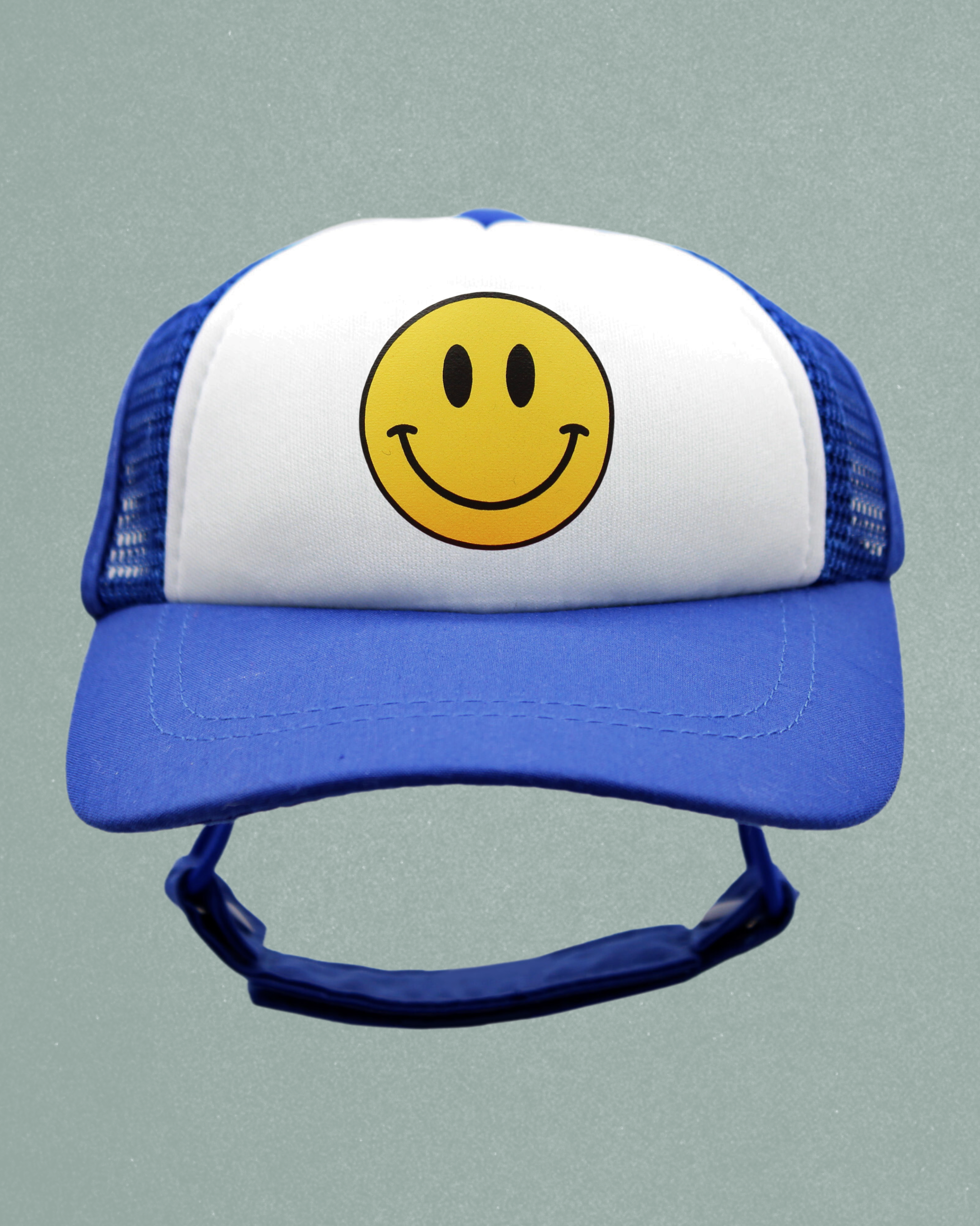 smiley cat hat