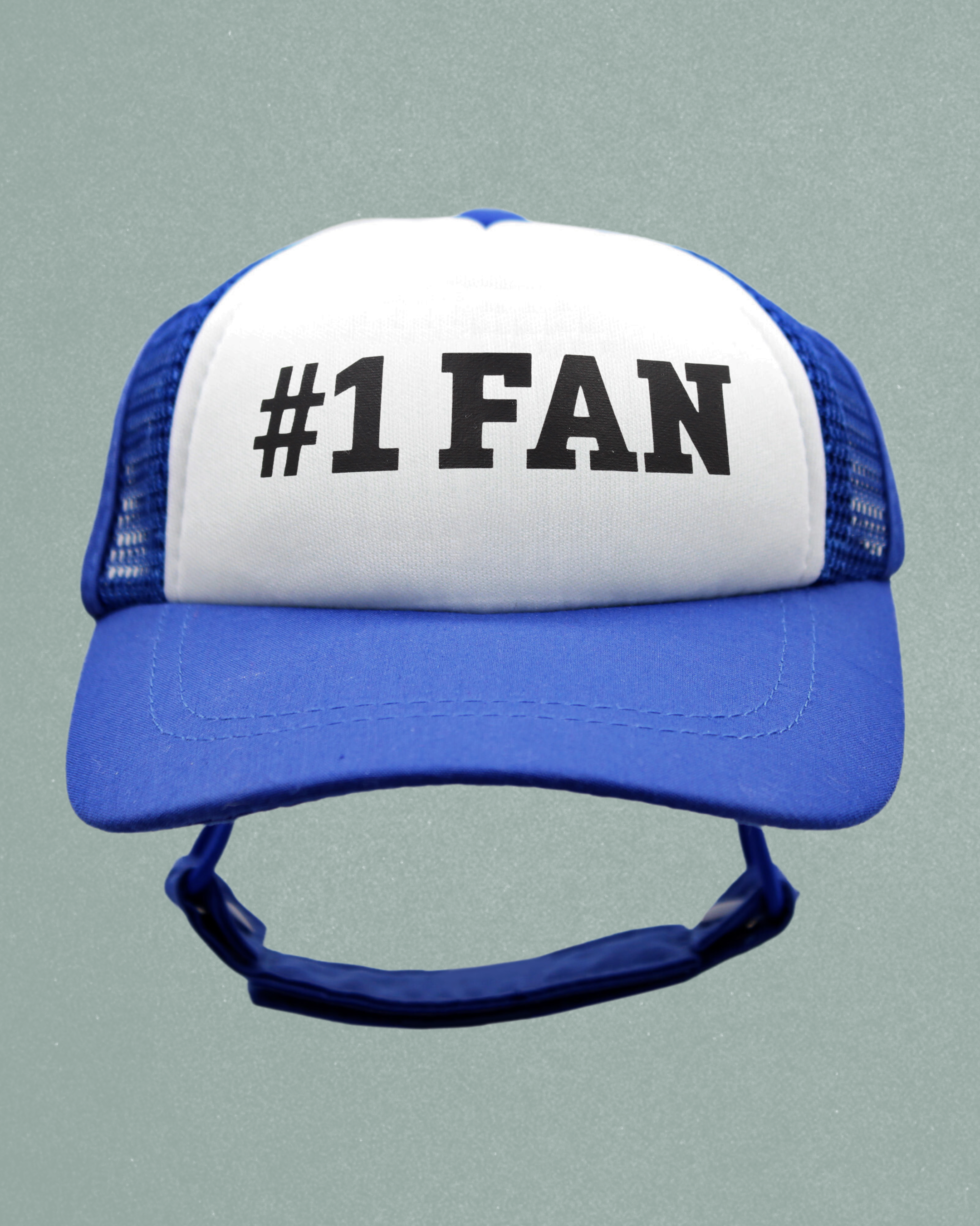 #1 fan