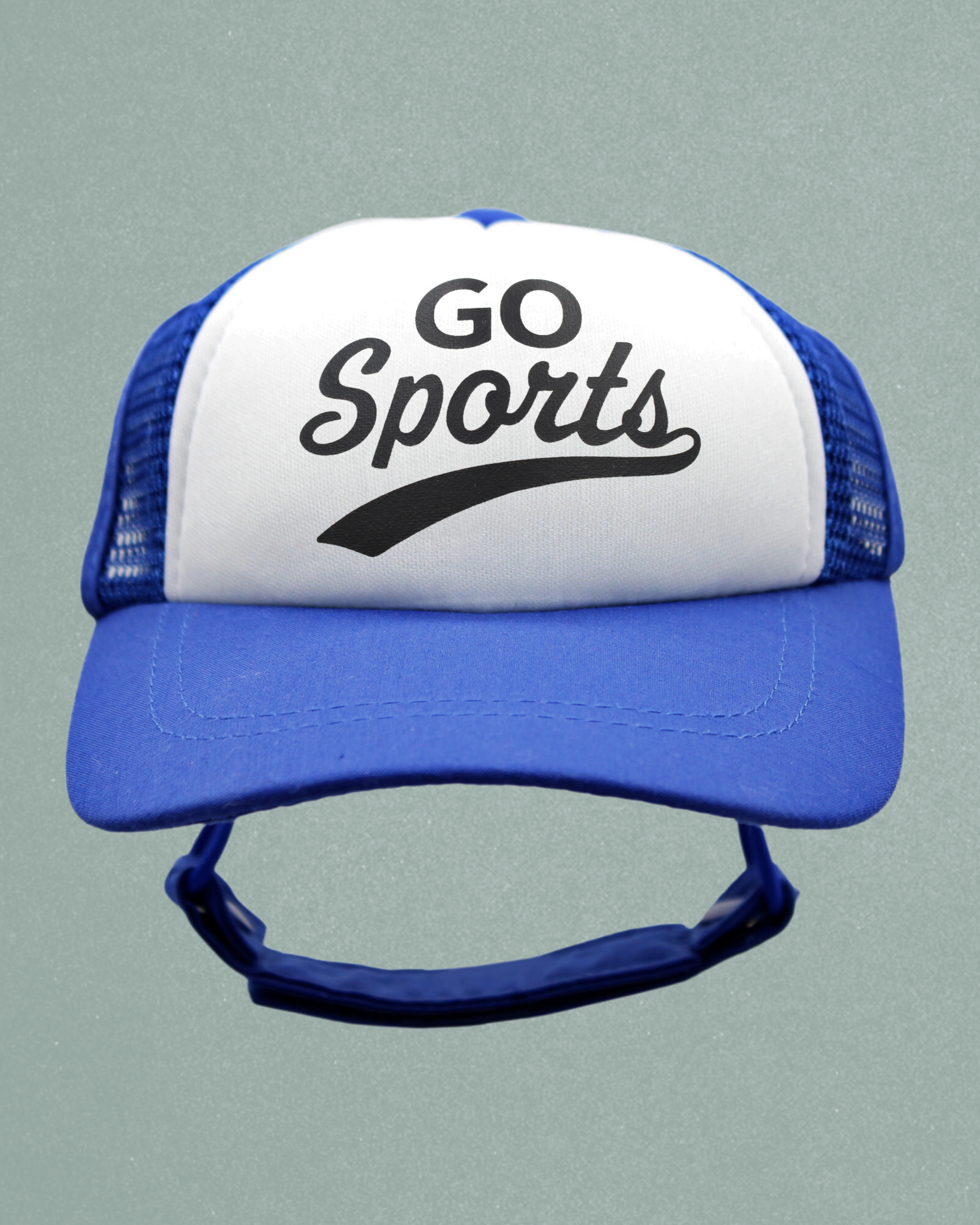 go sports!