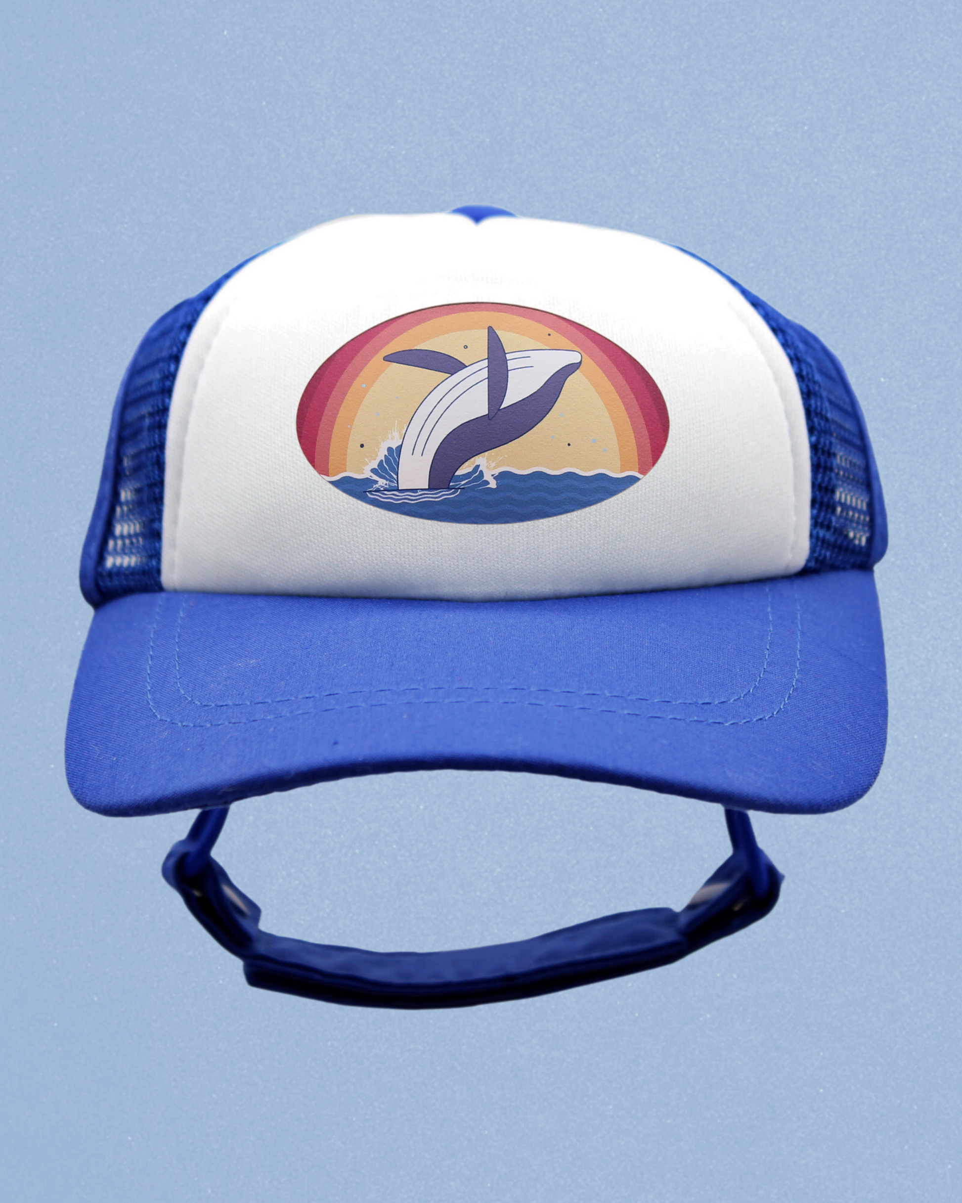 whale