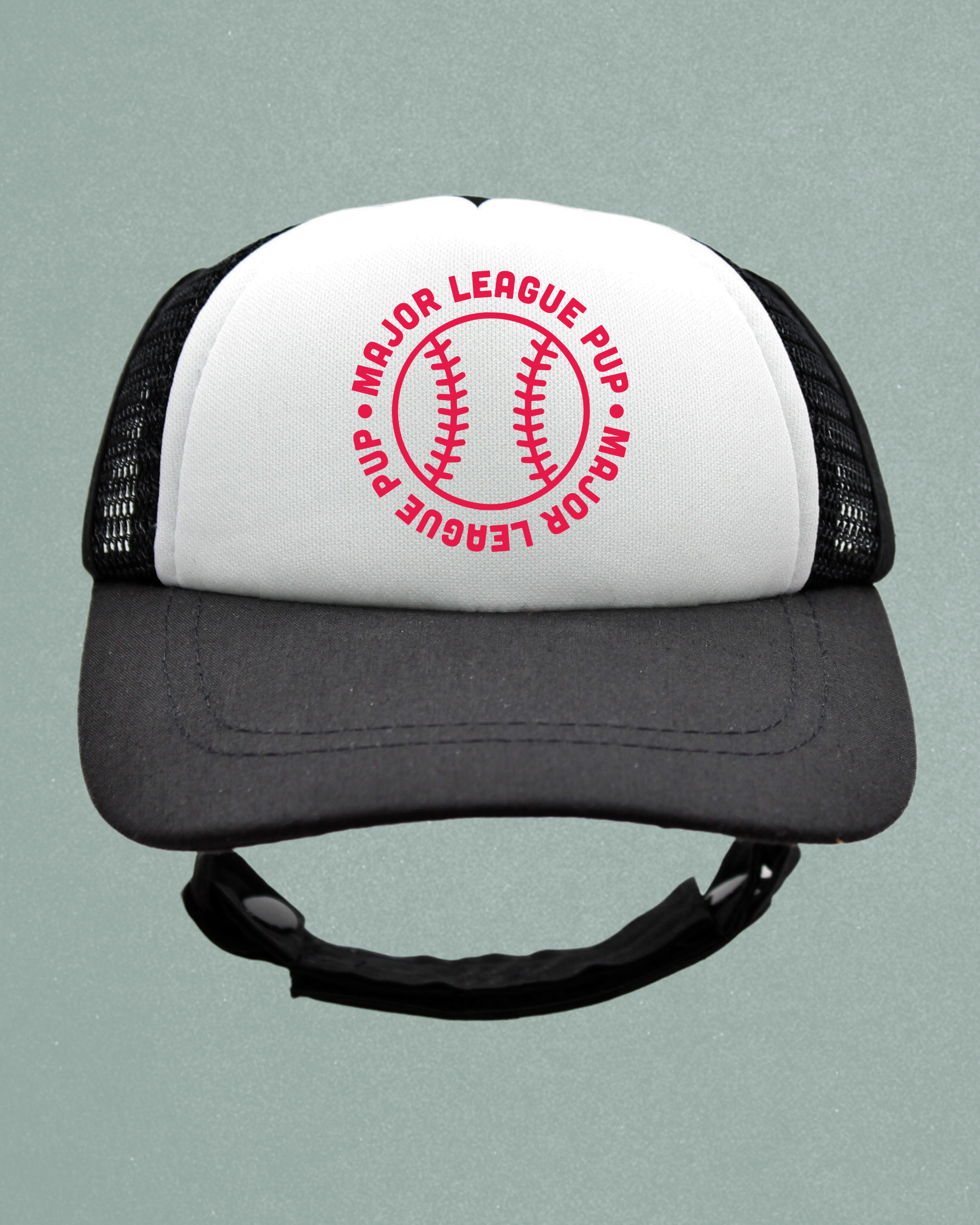 sports collection