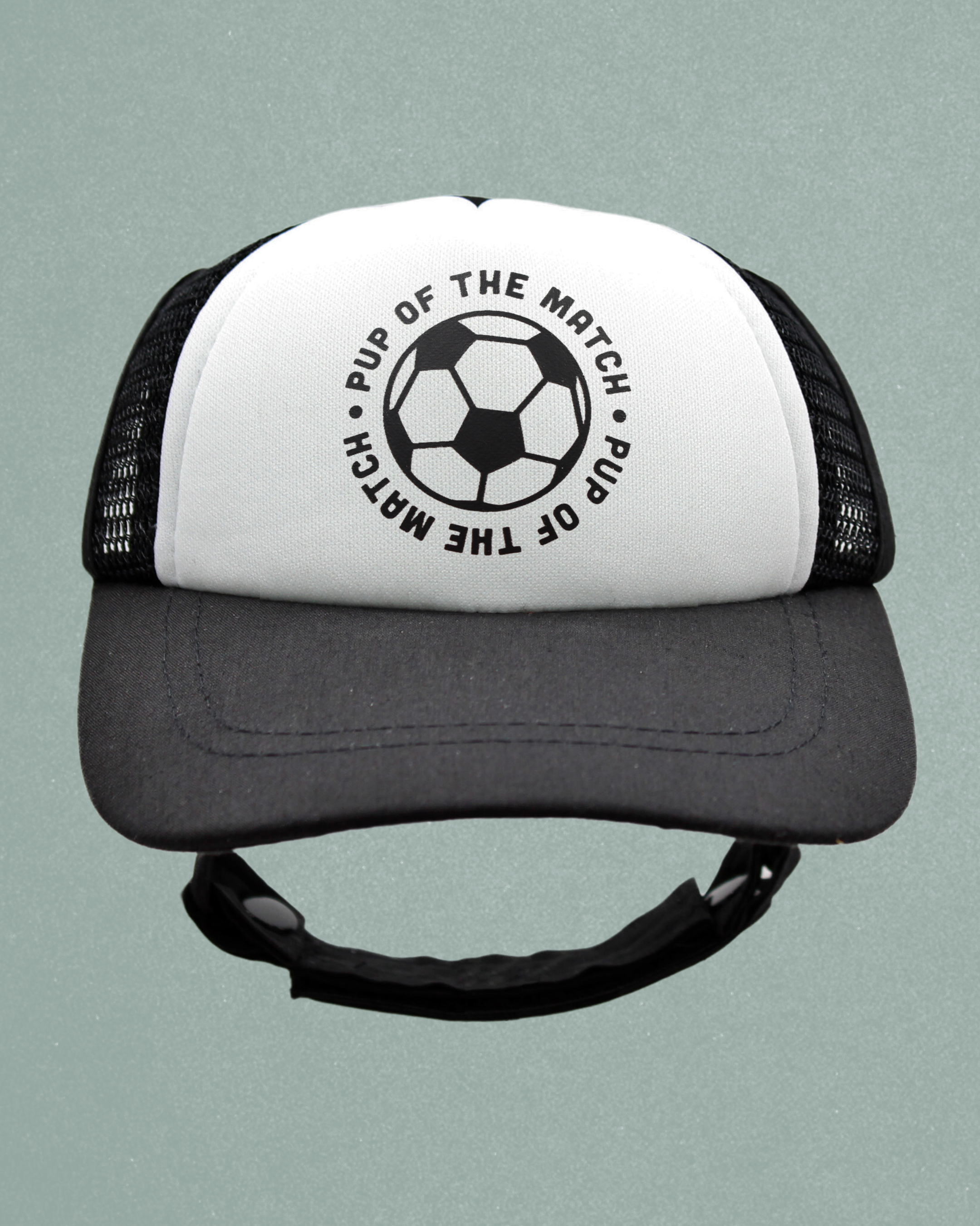 sports collection