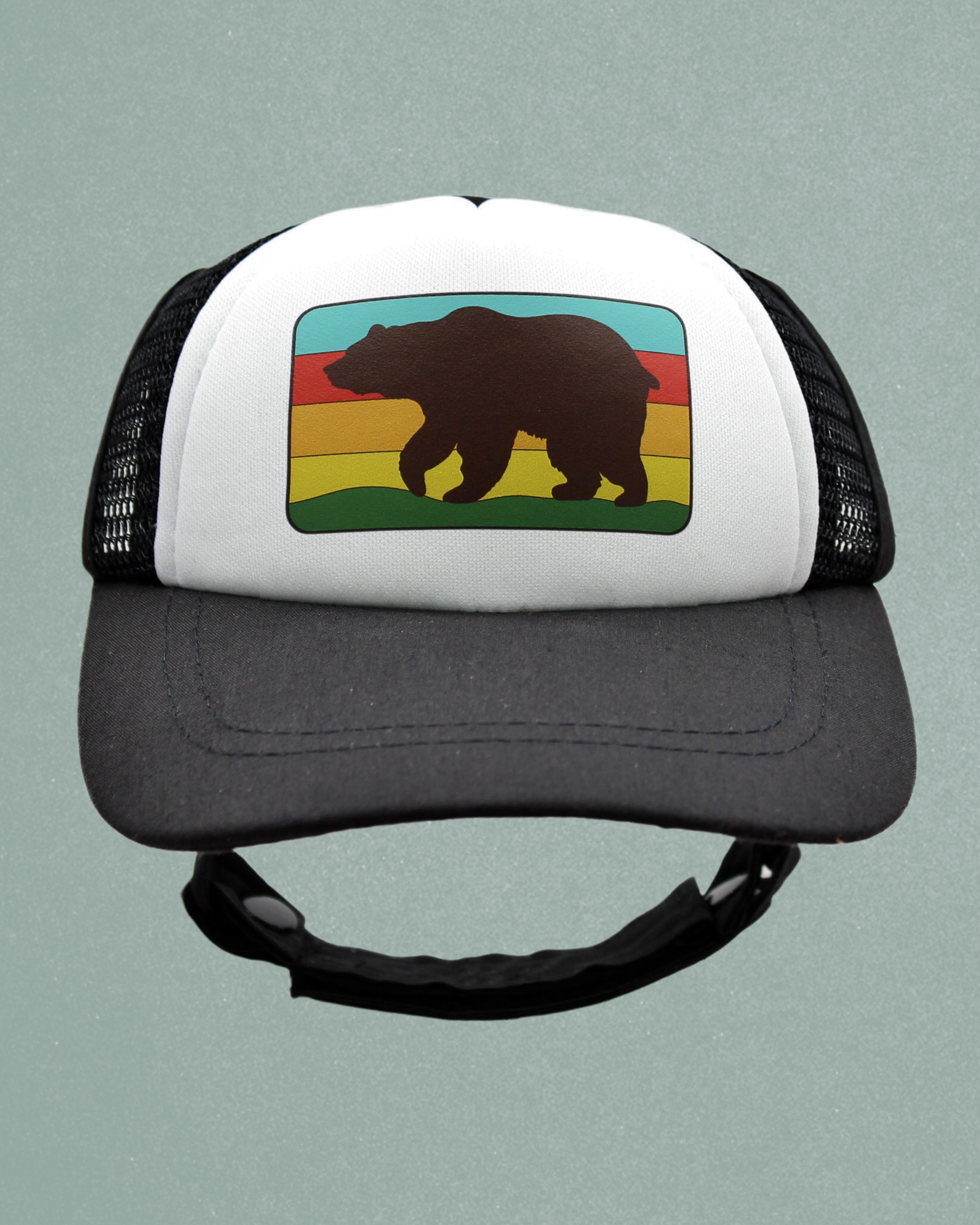 bear cat hat