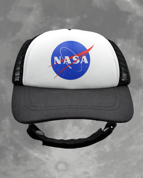 NASA meatball