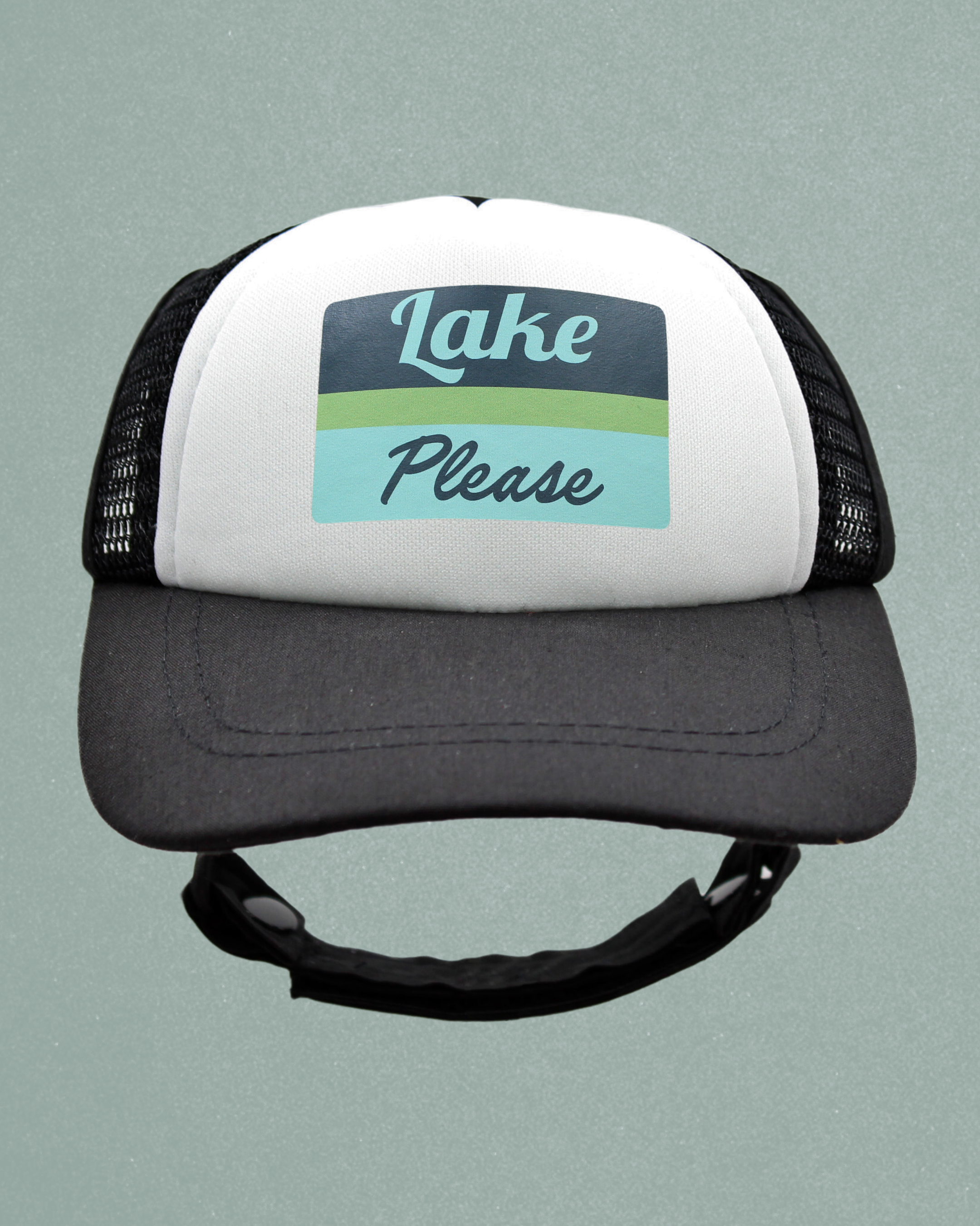 lake please