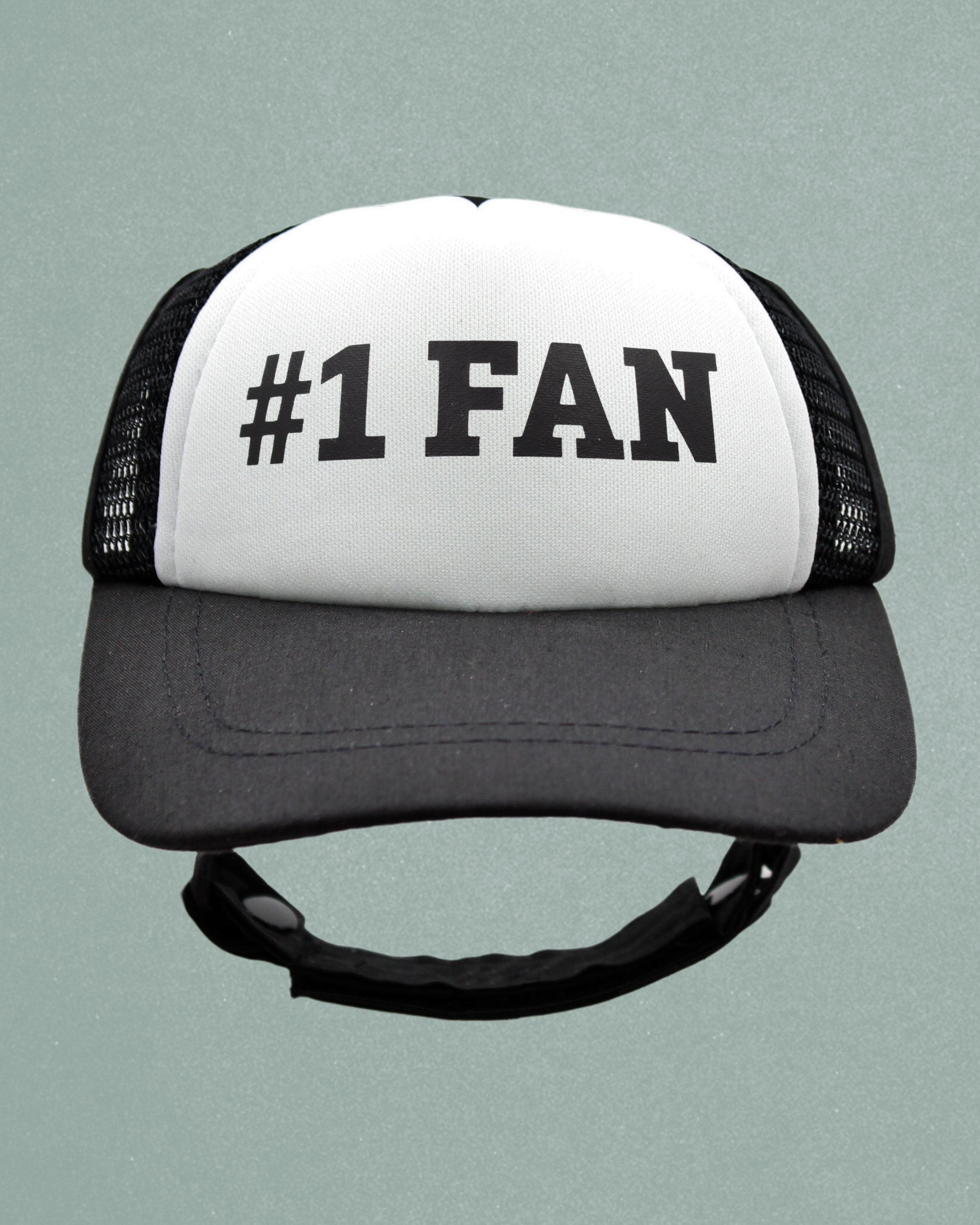 #1 fan