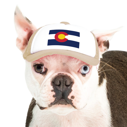 XS | PupLid State Flag Designs | All Colors