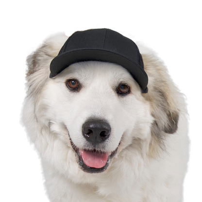 PupLid Baseball Cap | Size XL Dog Cap