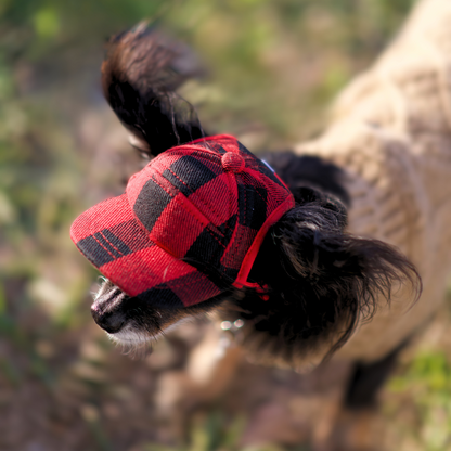 Camper Hats for Dogs | All Sizes