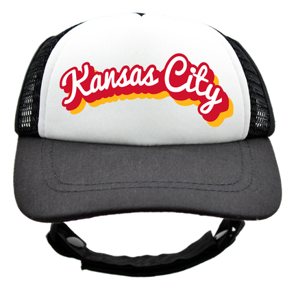 PupLid Cities & States | Size Tiny Dog Hat | Fall Collection