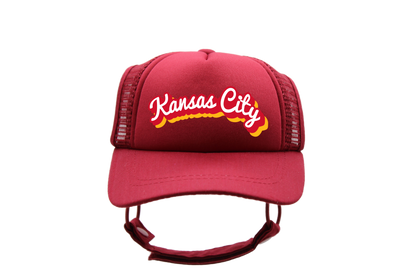 PupLid Cities & States | Solid Colors | Size Large Dog Hat | Fall Collection