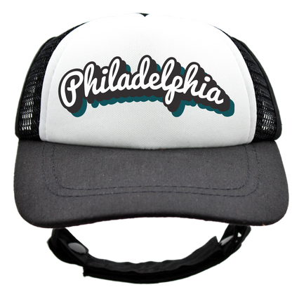 PupLid Cities & States | Size XS Dog Hat | Fall Collection