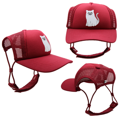 PupLid Cat Hats | Kittens and Really Small Cats