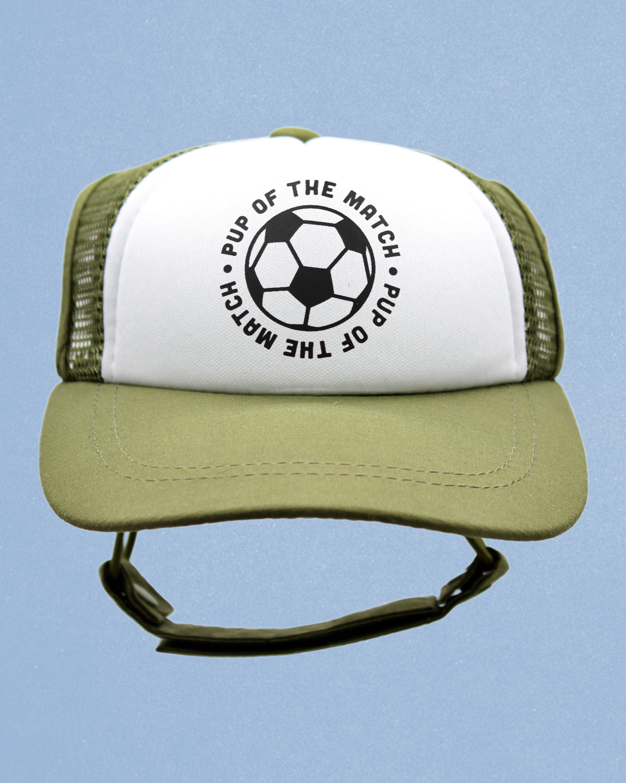 sports collection