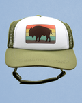 bison