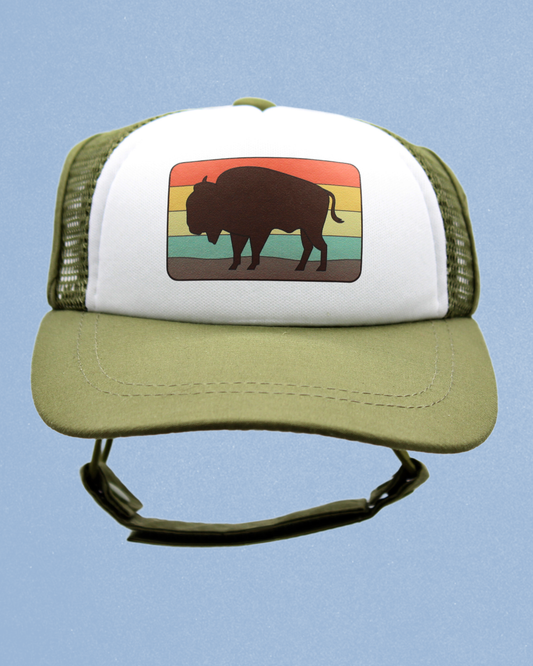 bison