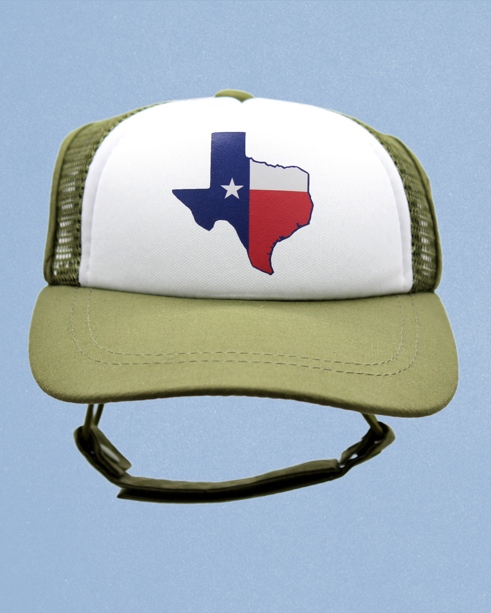 texas flag