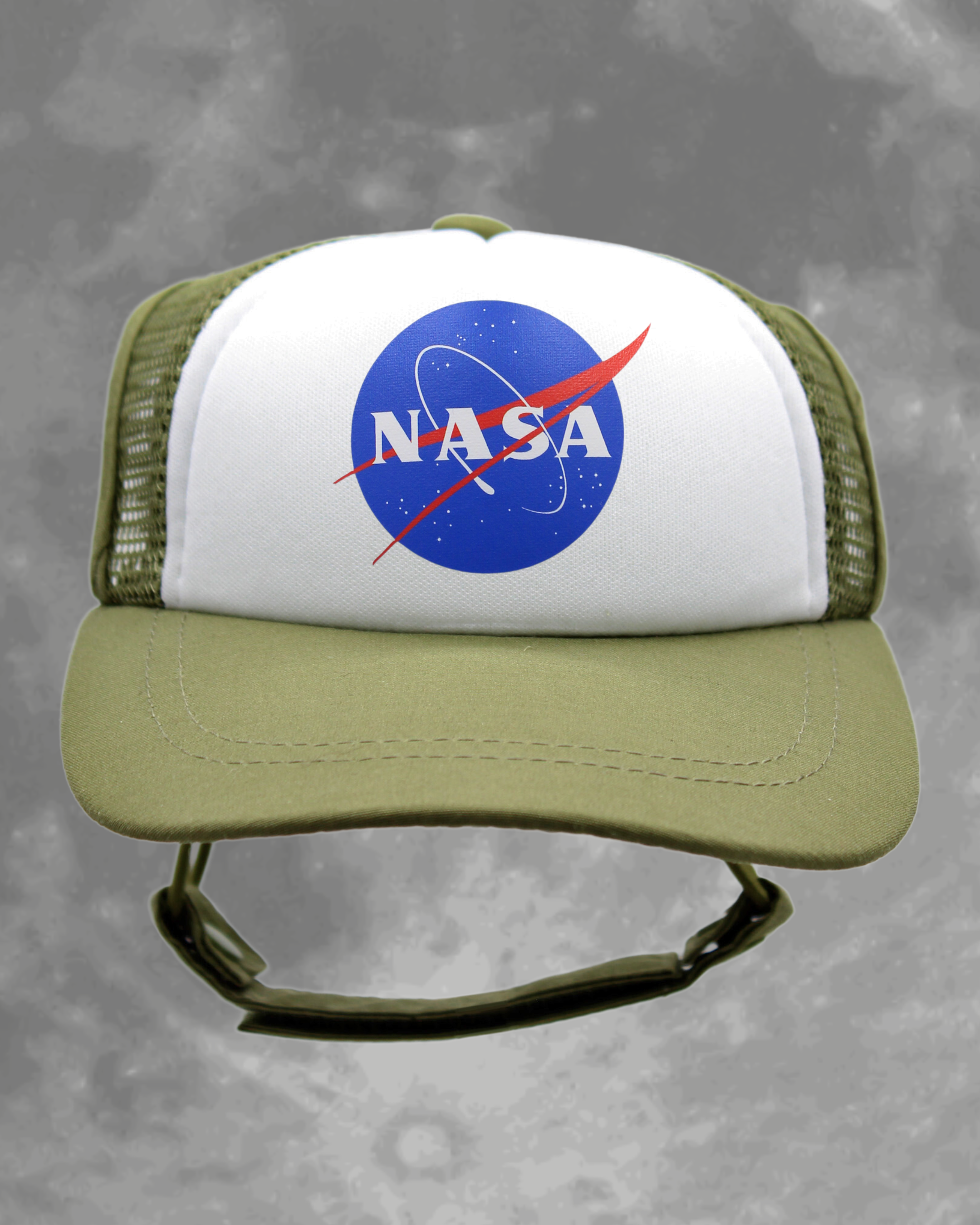 NASA meatball