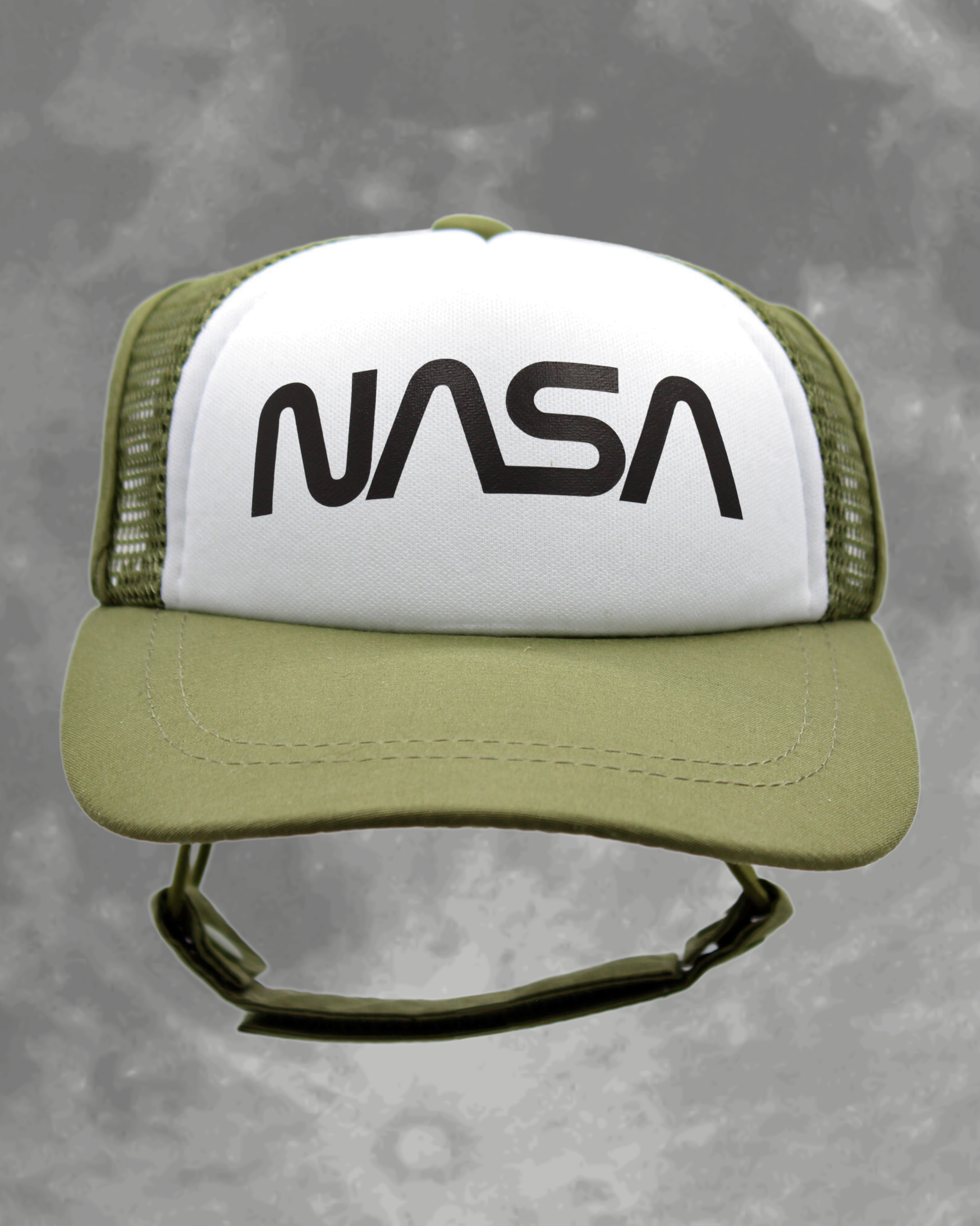 NASA worm