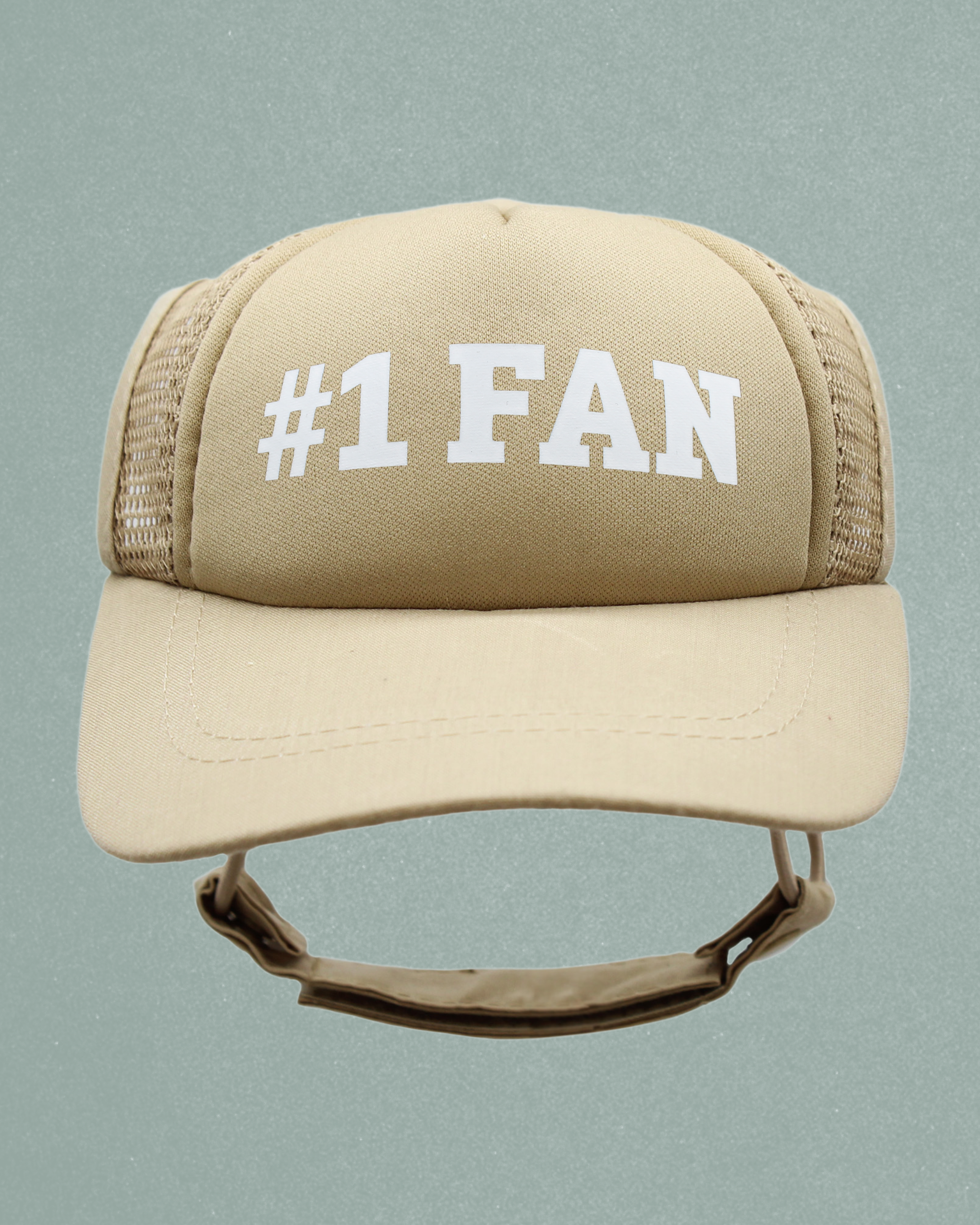 #1 fan