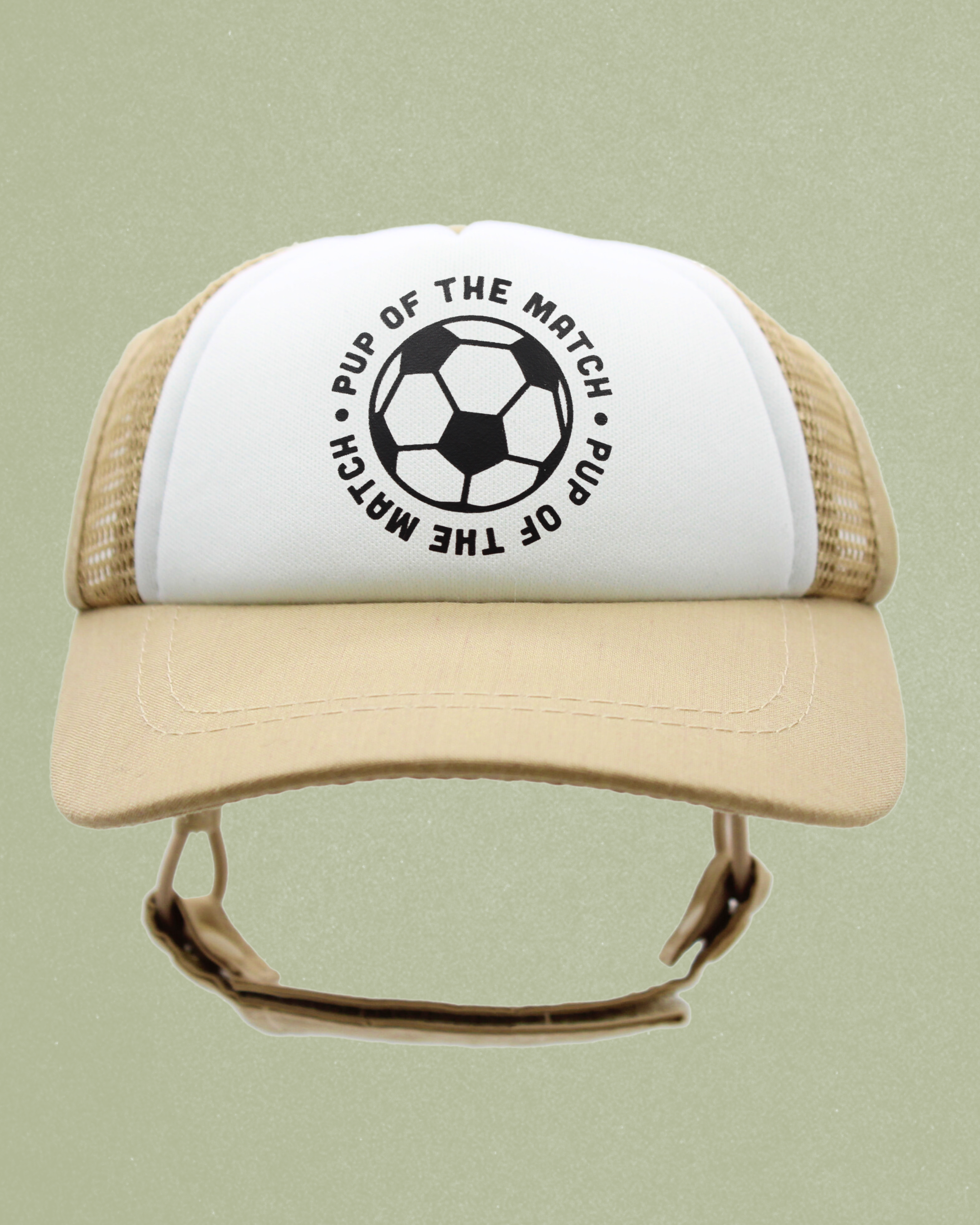 sports collection