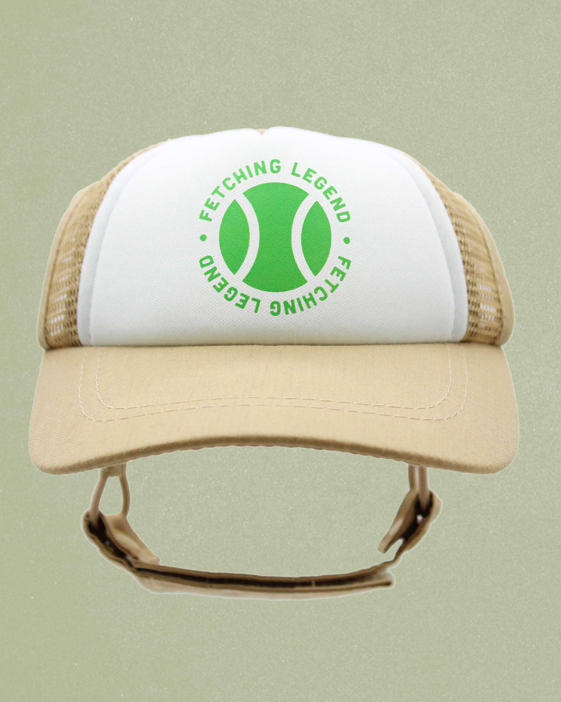 sports collection
