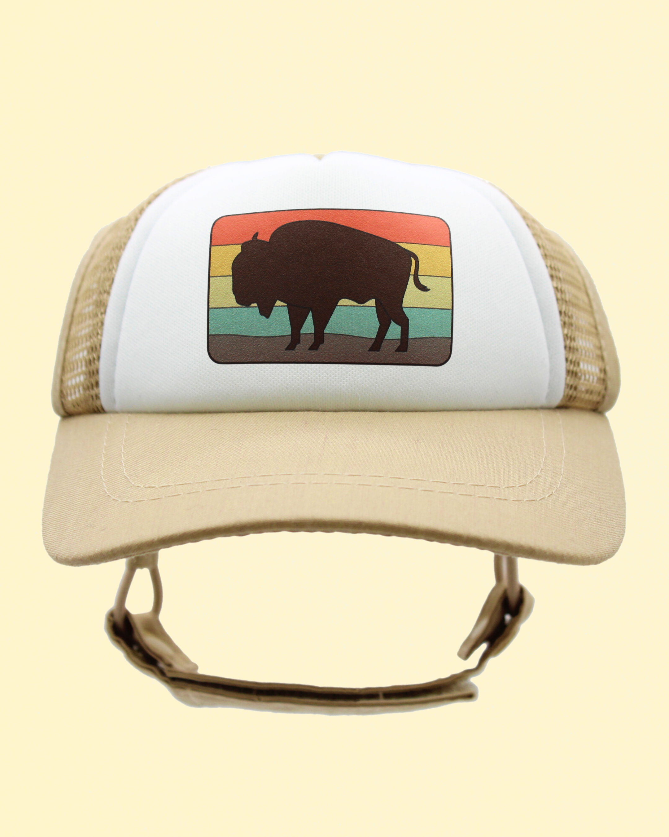 bison
