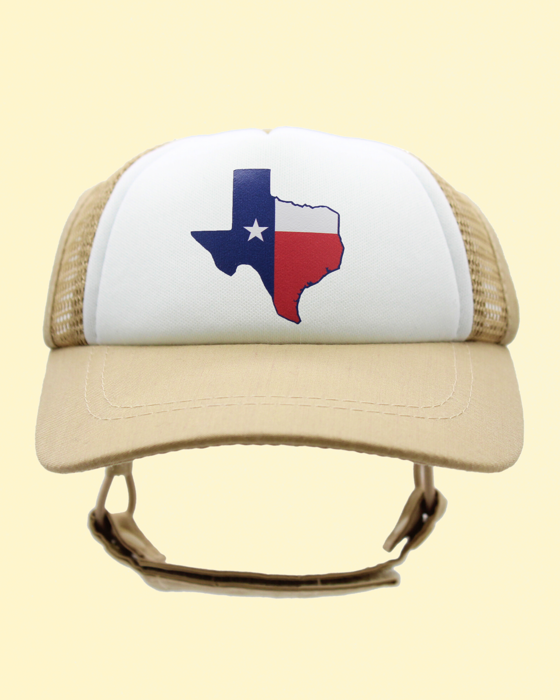 texas flag