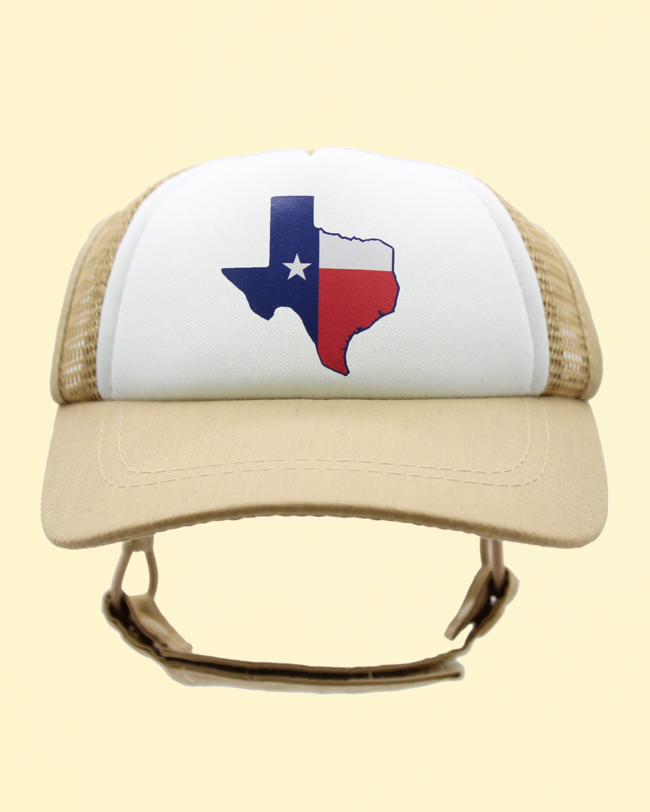texas flag