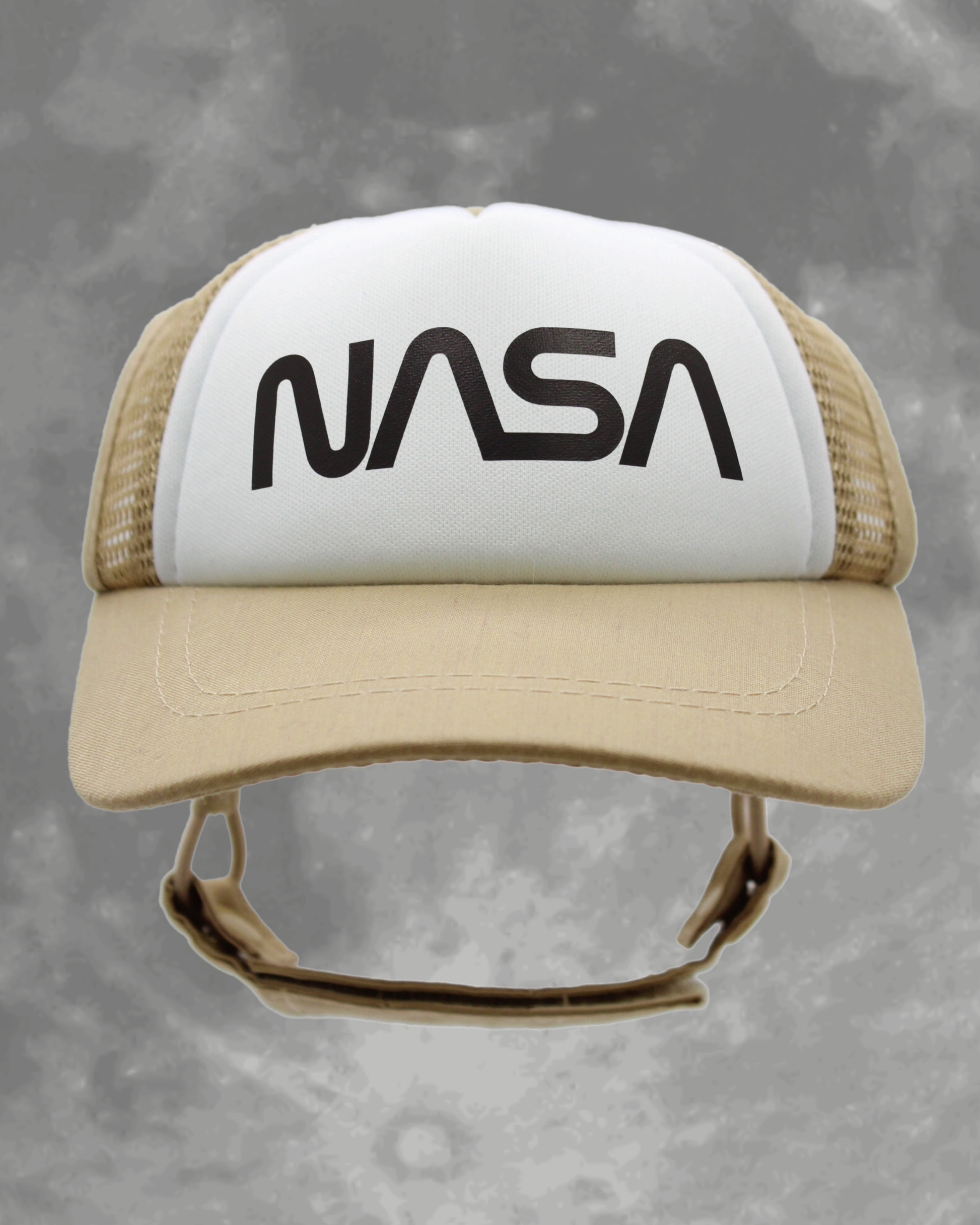 NASA worm
