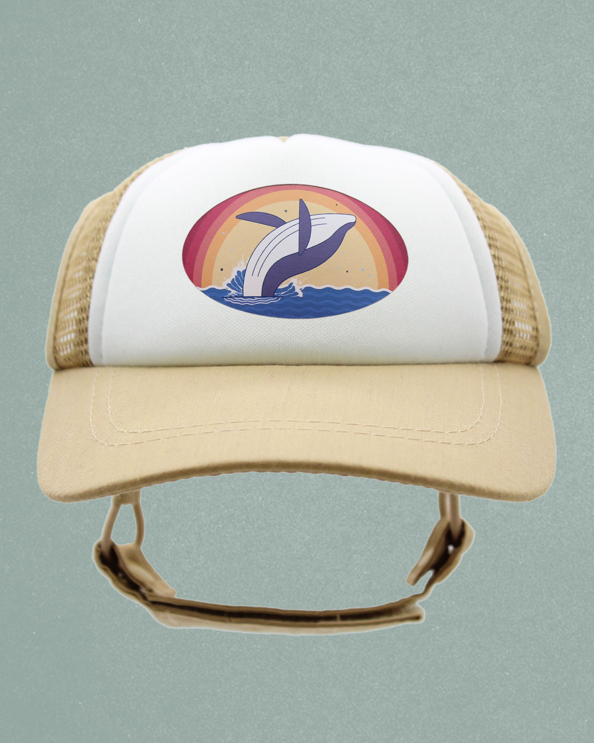 whale